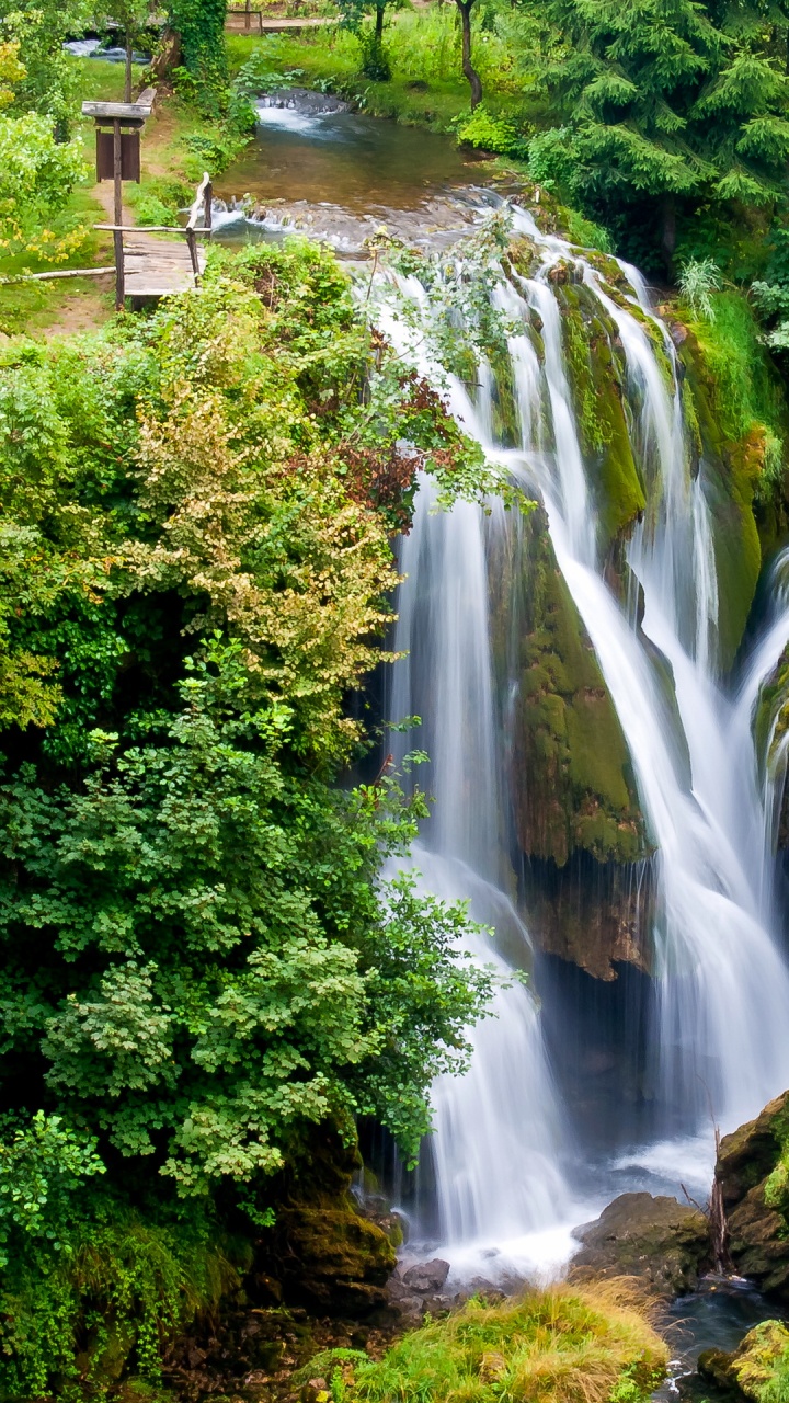 el Agua Cae en Medio de Árboles Verdes. Wallpaper in 720x1280 Resolution