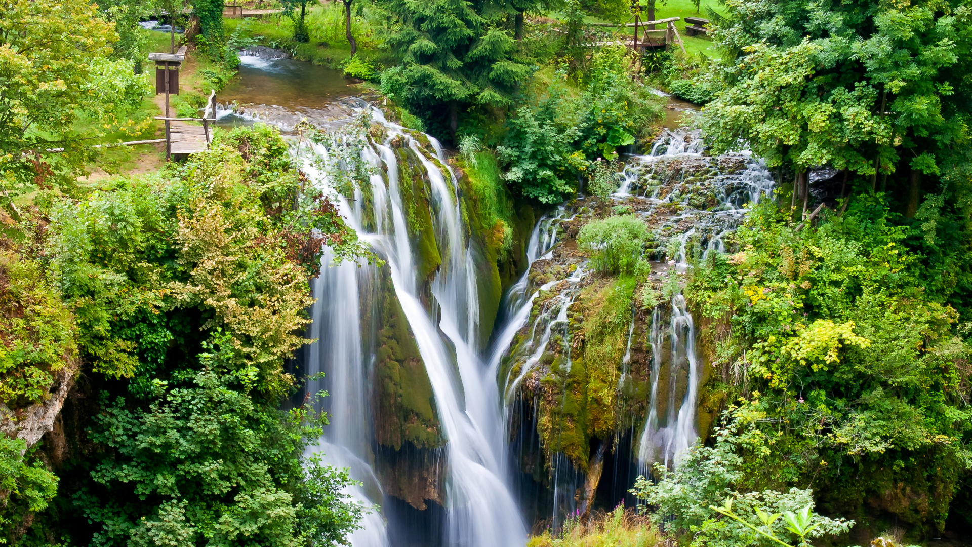 Water Falls in The Middle of Green Trees. Wallpaper in 1920x1080 Resolution