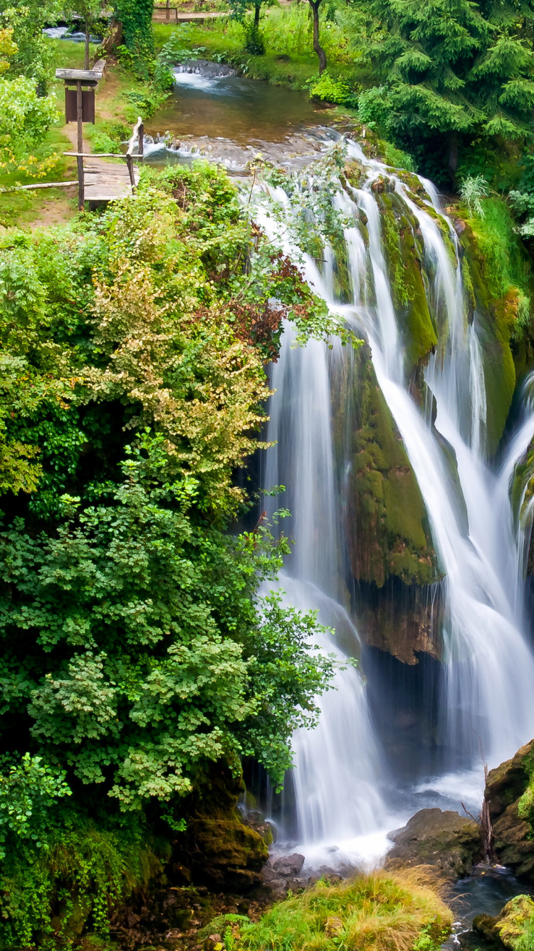 Water Falls in The Middle of Green Trees. Wallpaper in 750x1334 Resolution