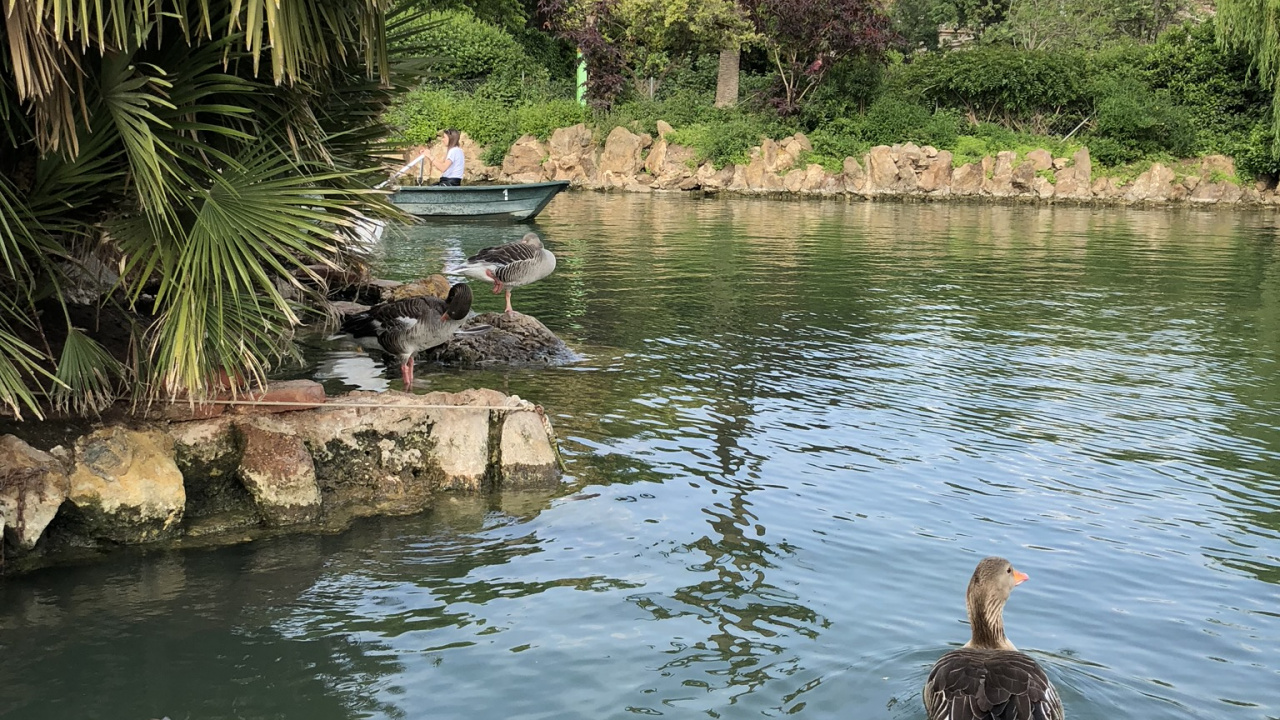 反射, 水资源, 池塘, 银行, 水道 壁纸 1280x720 允许