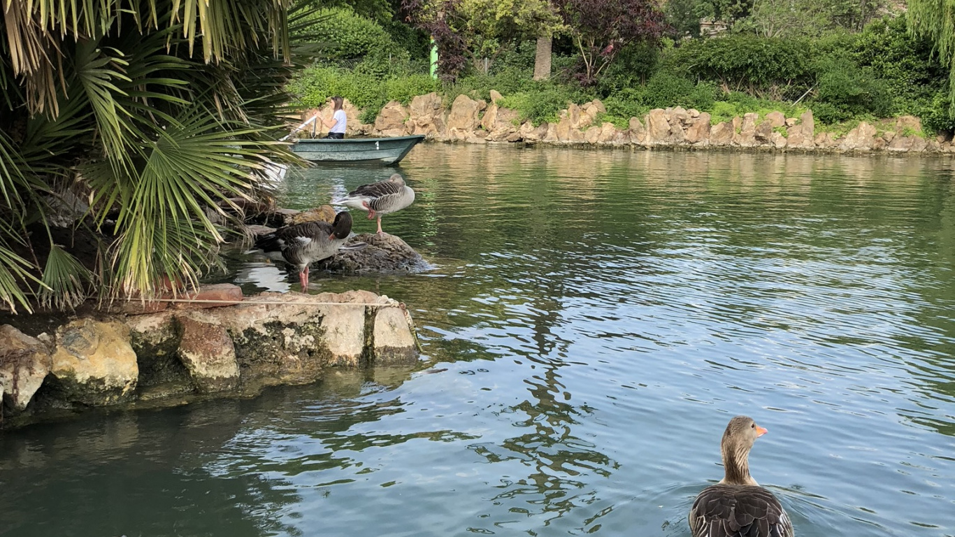Reflexión, Los Recursos de Agua, Agua, Estanque, Curso de Agua. Wallpaper in 1366x768 Resolution