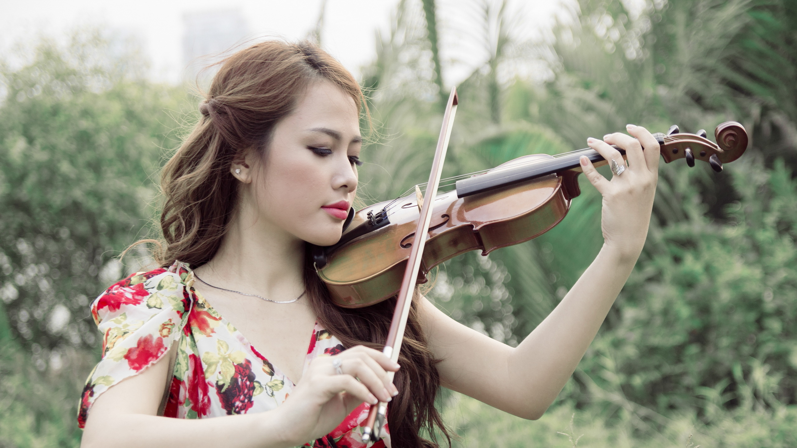 Violinista, Violista, Familia Del Violín, Instrumento Musical, El Violín. Wallpaper in 2560x1440 Resolution