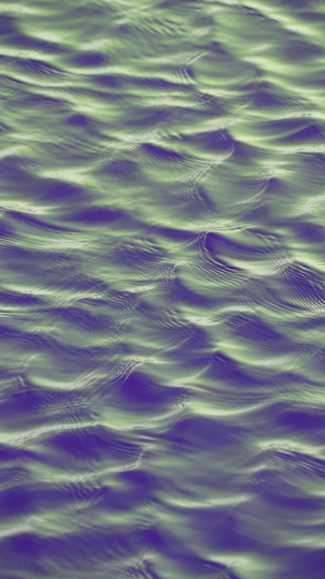 Violet, Purple, Green, Water, Close Up. Wallpaper in 1080x1920 Resolution