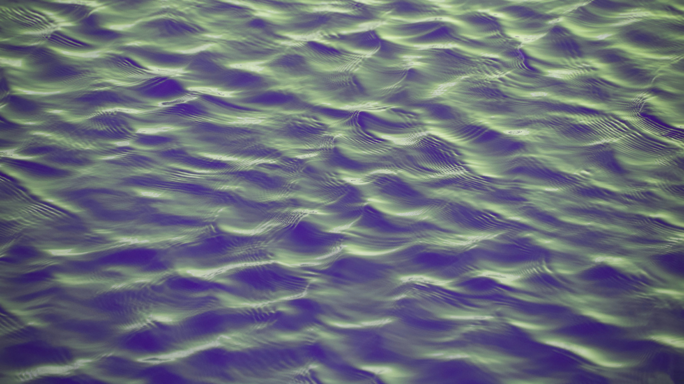 Violeta, Morado, Verde, Agua, de Cerca. Wallpaper in 1366x768 Resolution