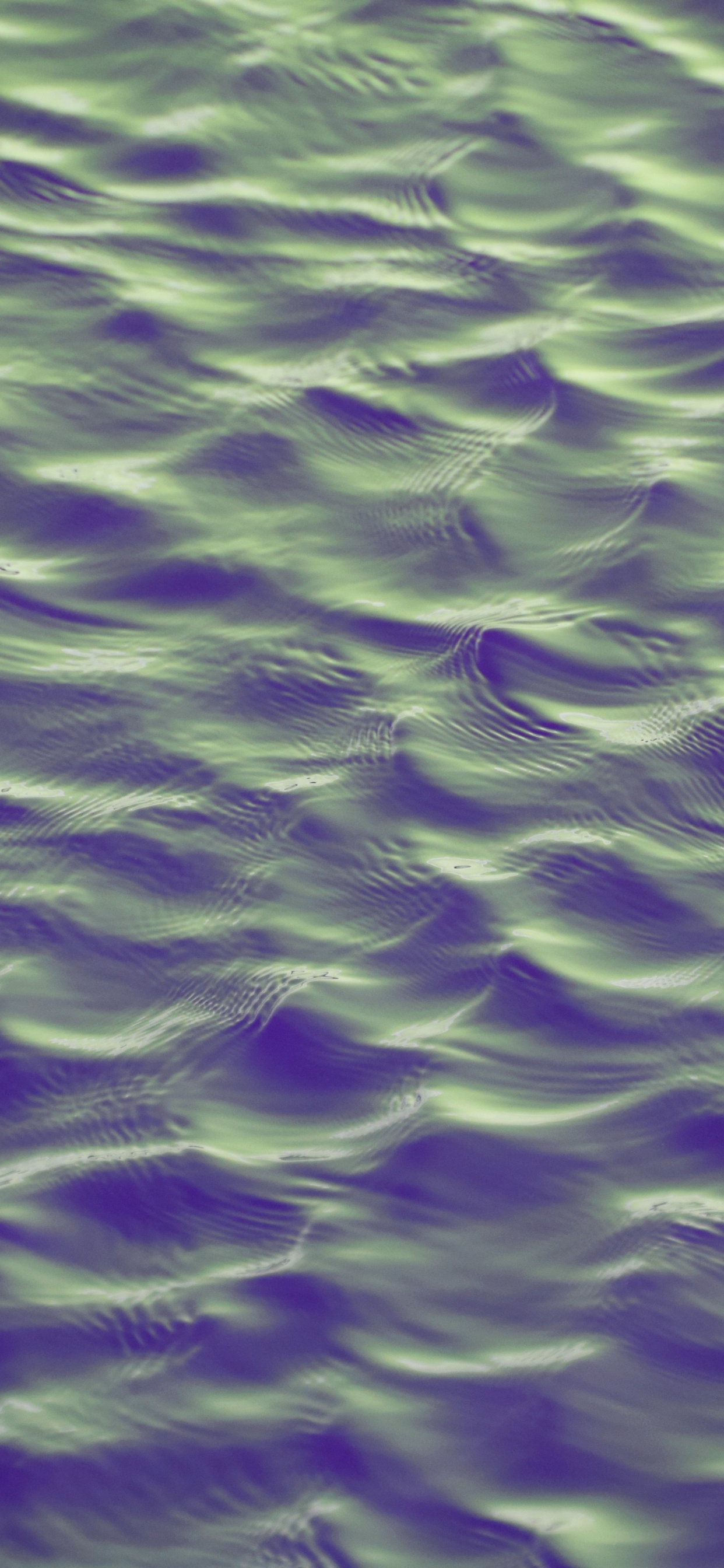 Violette, Purple, Green, Eau, Fermer. Wallpaper in 1242x2688 Resolution
