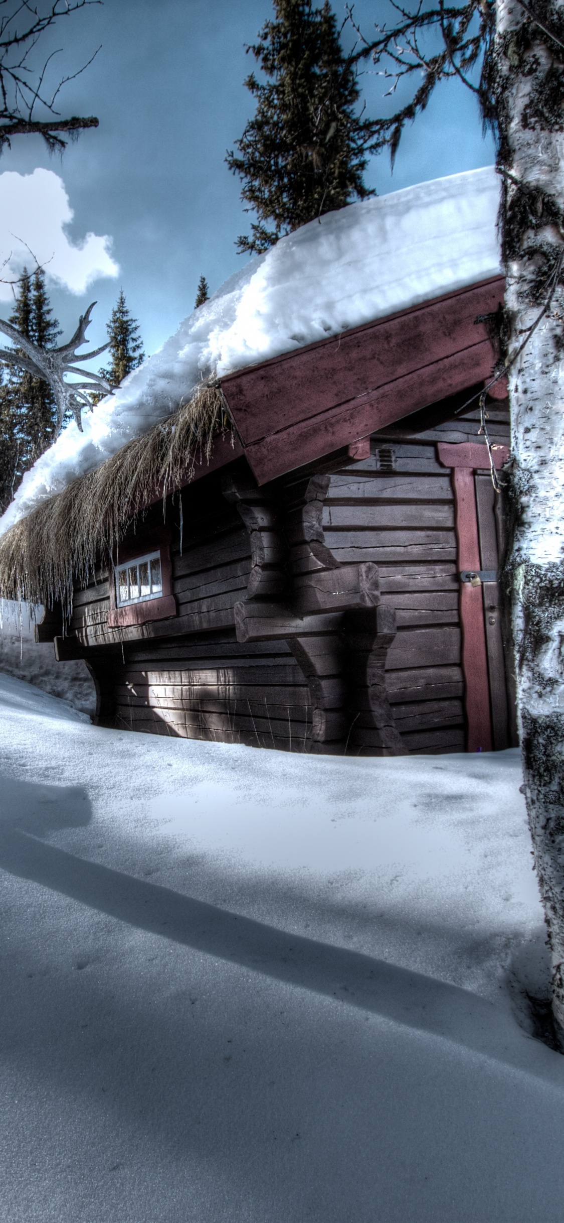 Braunes Holzhaus Tagsüber Mit Schnee Bedeckt. Wallpaper in 1125x2436 Resolution