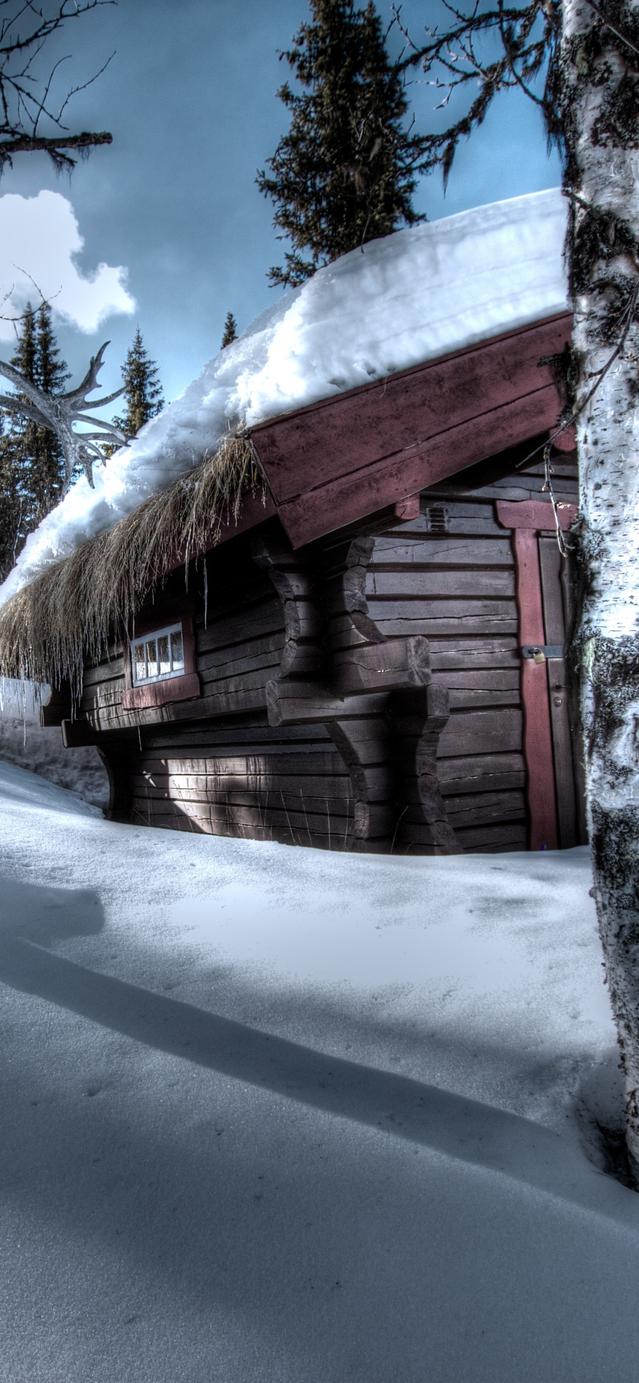 Braunes Holzhaus Tagsüber Mit Schnee Bedeckt. Wallpaper in 1242x2688 Resolution