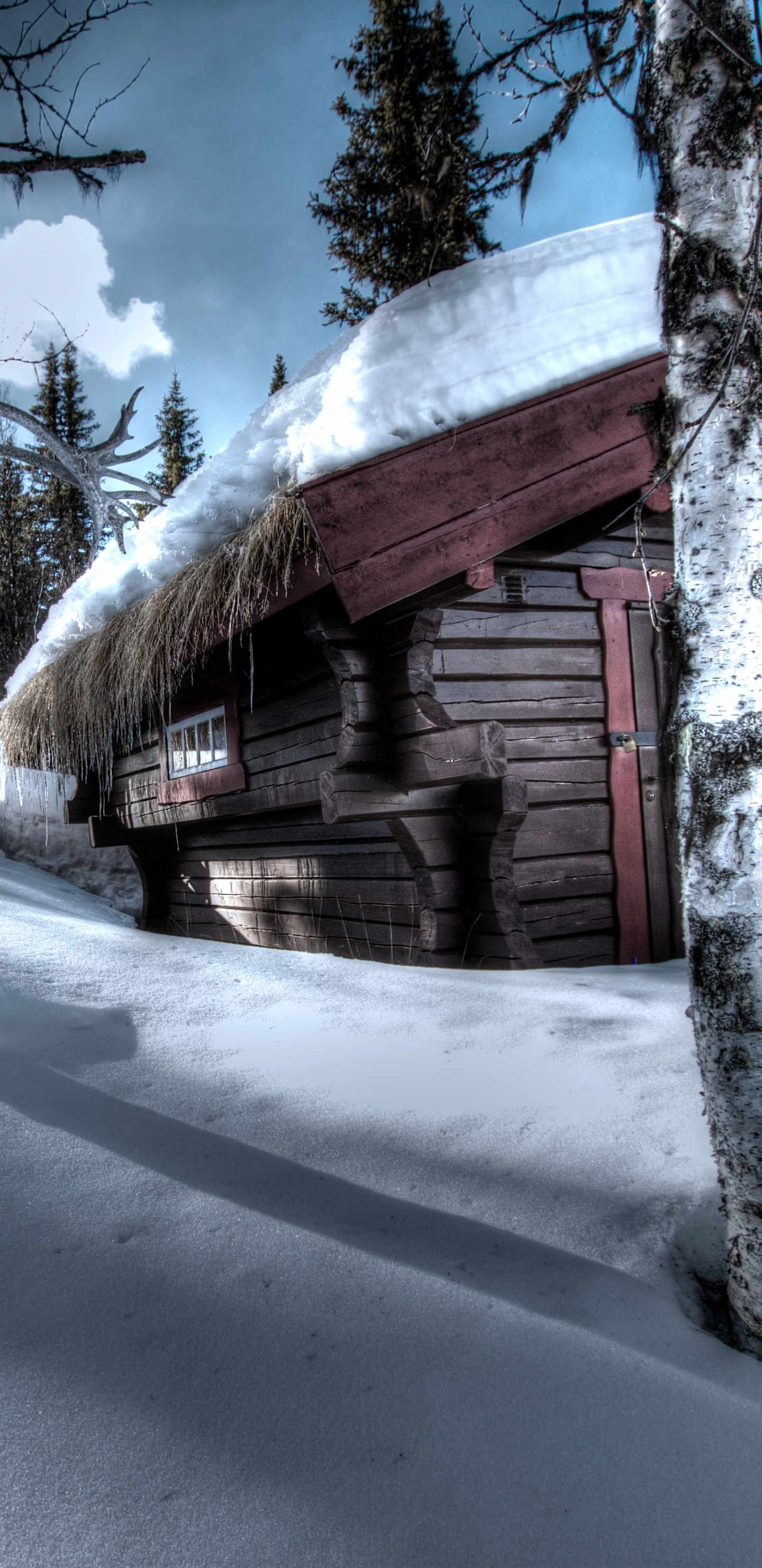 Braunes Holzhaus Tagsüber Mit Schnee Bedeckt. Wallpaper in 1440x2960 Resolution