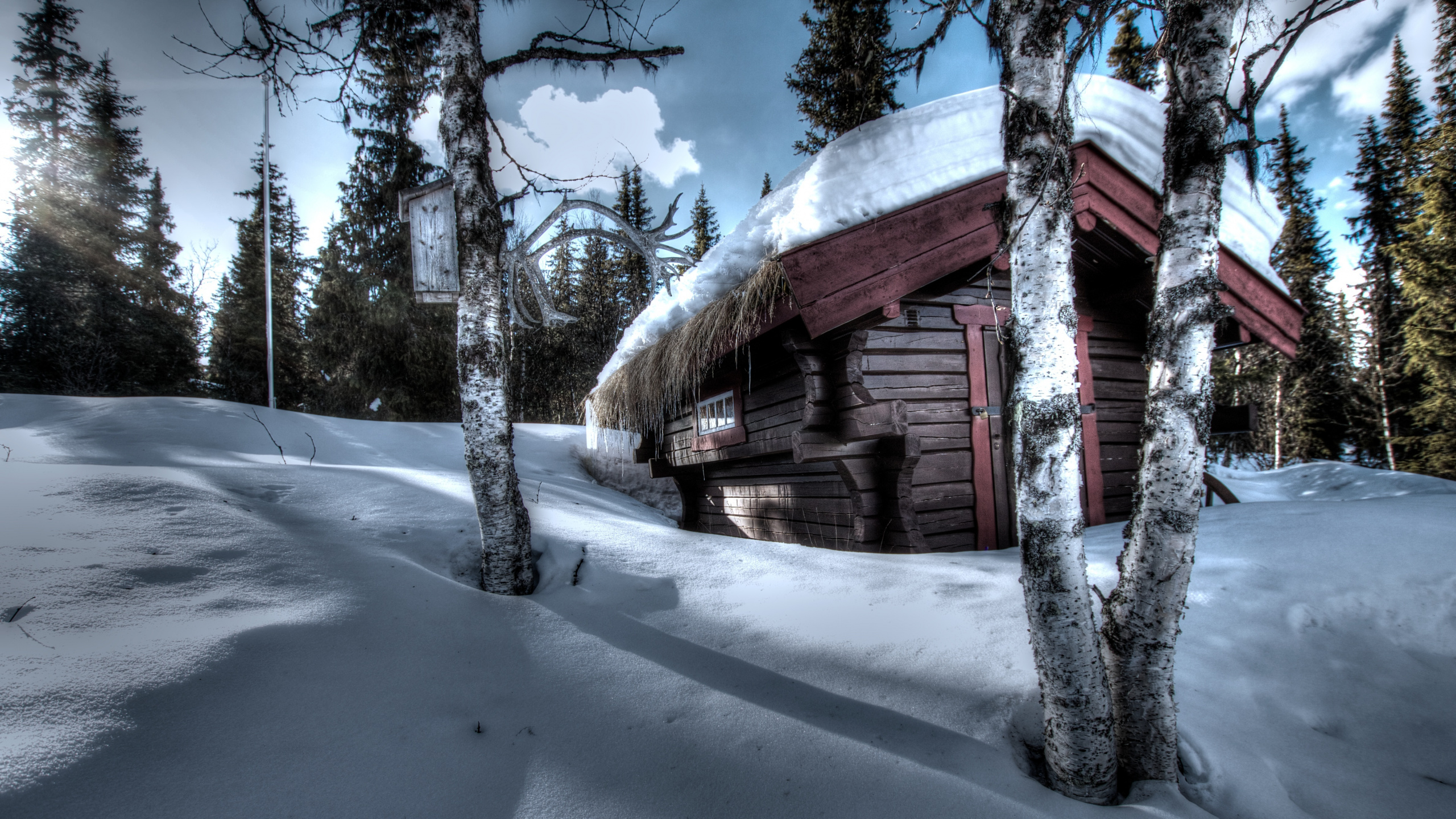 Braunes Holzhaus Tagsüber Mit Schnee Bedeckt. Wallpaper in 2560x1440 Resolution