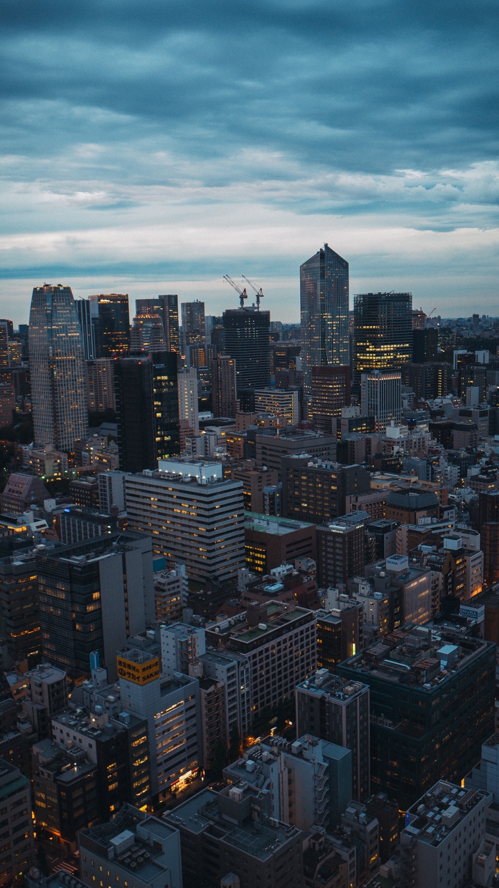 Tokyo Tower, Building, Tower Block, Daytime, Urban Area. Wallpaper in 720x1280 Resolution