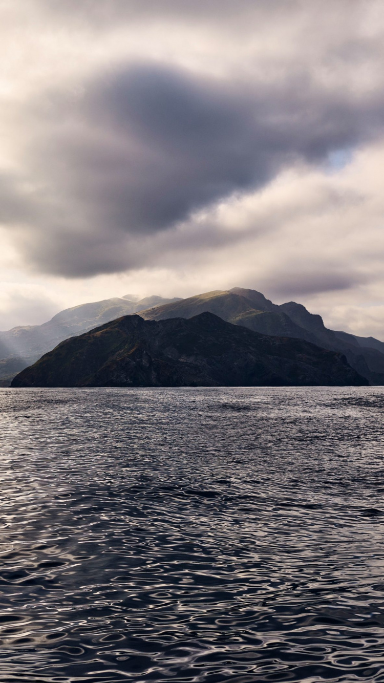 Apple, IPhone, MacOS Catalina, Äpfeln, Ios. Wallpaper in 750x1334 Resolution