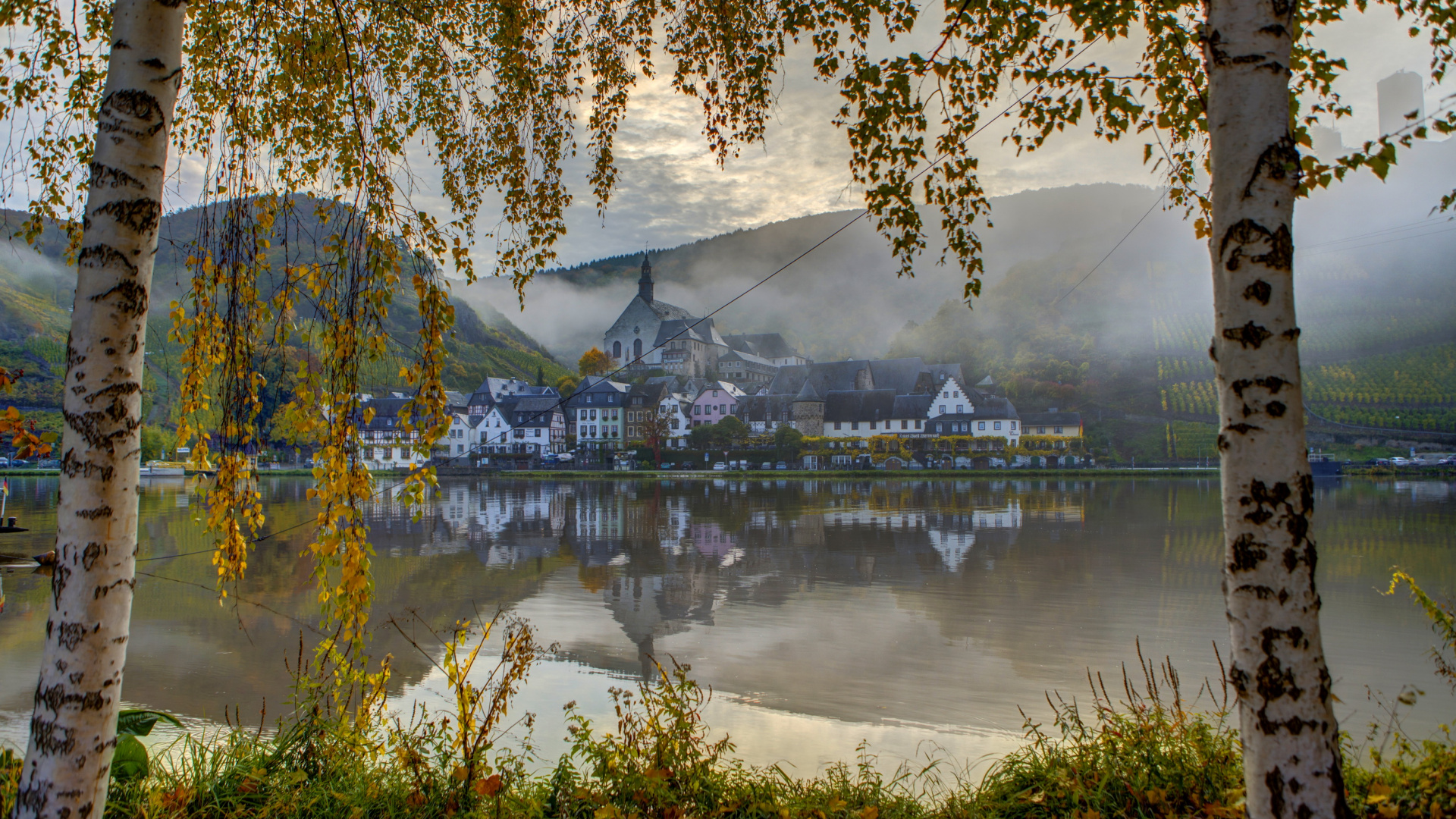 Gewässer in Der Nähe Von Bäumen Und Gebäude Tagsüber. Wallpaper in 1920x1080 Resolution