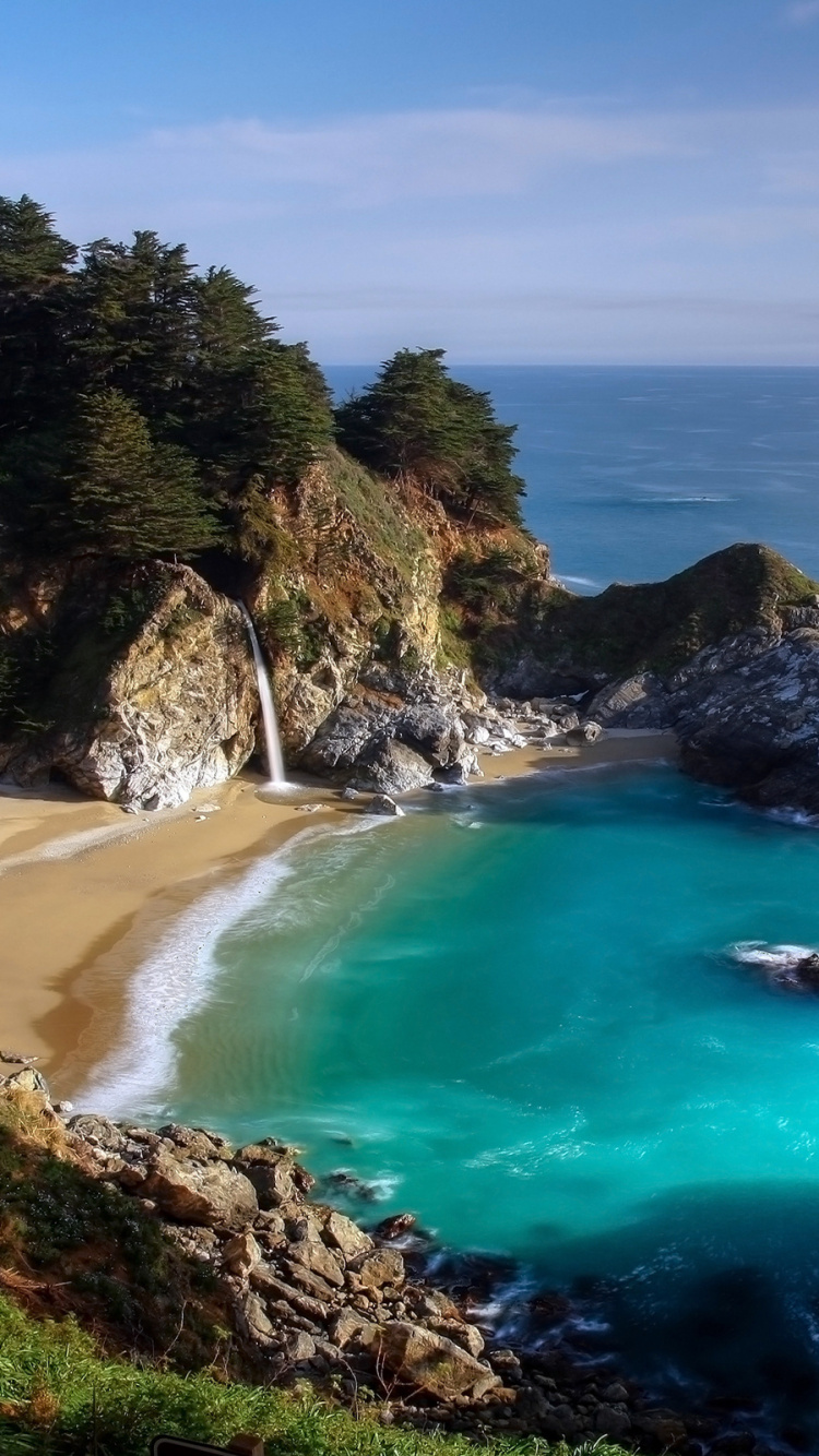 Árboles Verdes en la Playa de Arena Marrón Durante el Día. Wallpaper in 750x1334 Resolution