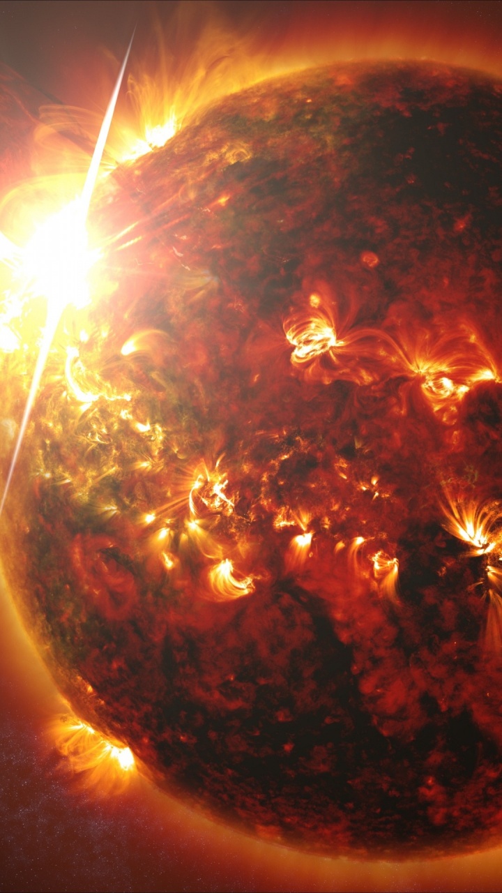 Guirlandes Lumineuses Marron et Blanches. Wallpaper in 720x1280 Resolution