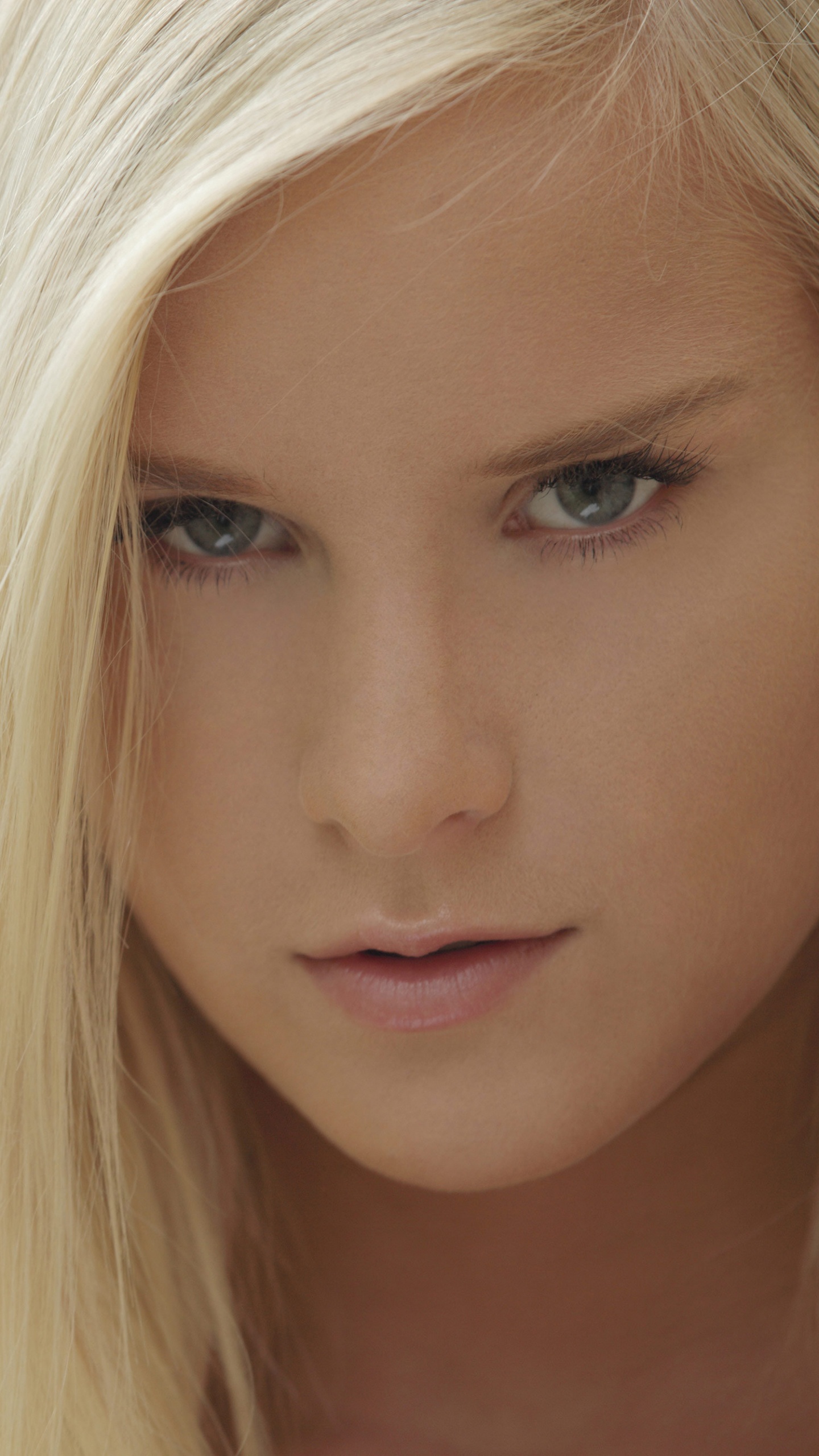 Königin Heiraten, Haar, Blonde, Frisur, Schönheit. Wallpaper in 1440x2560 Resolution