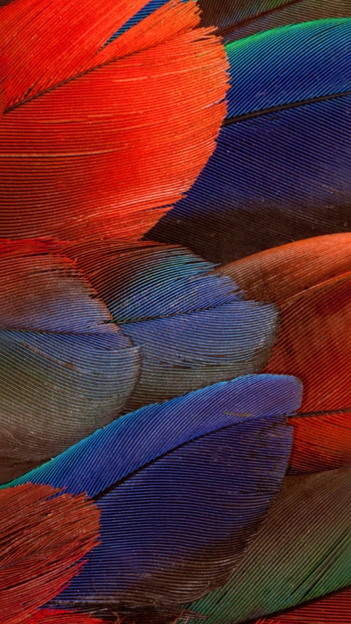 华为mate 30 Pro, 华为伴侣30, 华为伴侣20 x, 华为mate 20 Pro, 华为伴侣8 壁纸 720x1280 允许