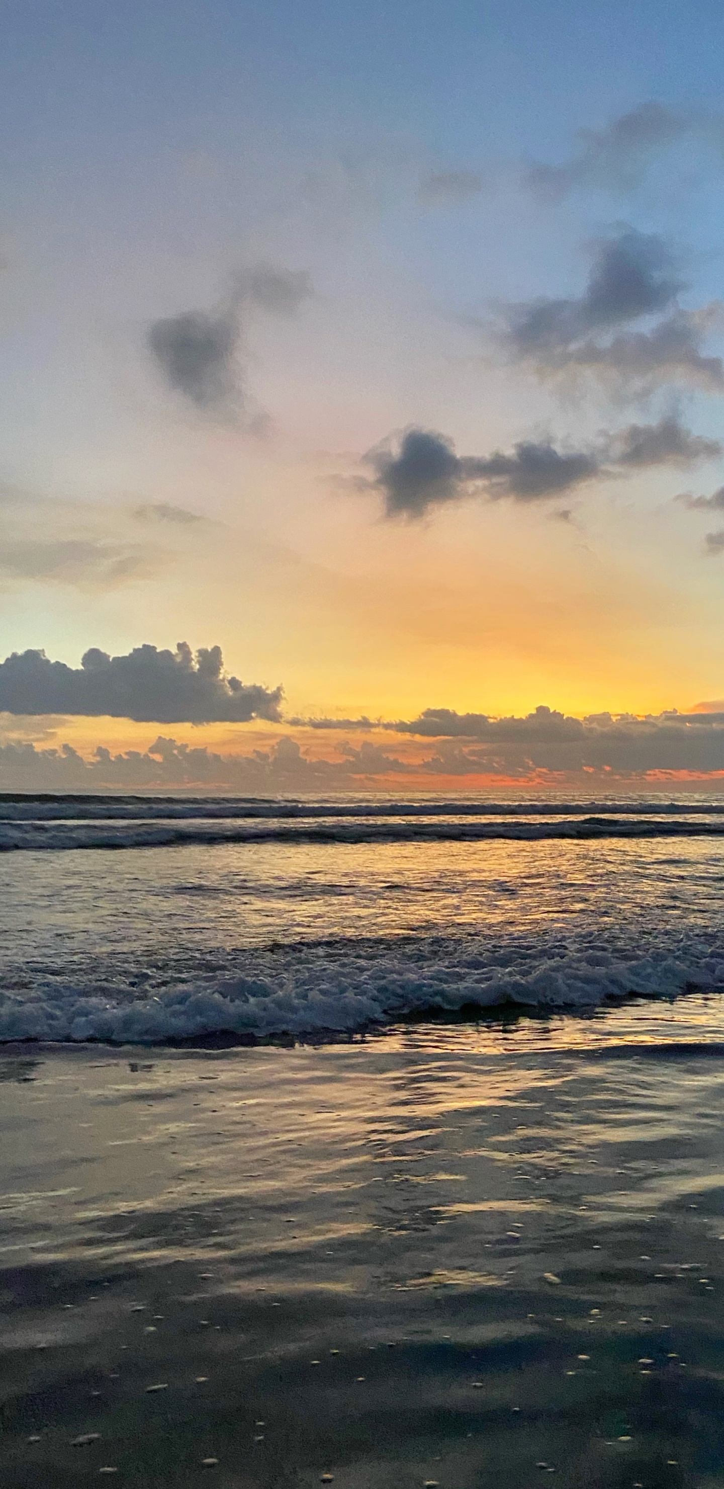 Meer, Villa, Vermieten, Urlaub, Sansibar-Archipel. Wallpaper in 1440x2960 Resolution