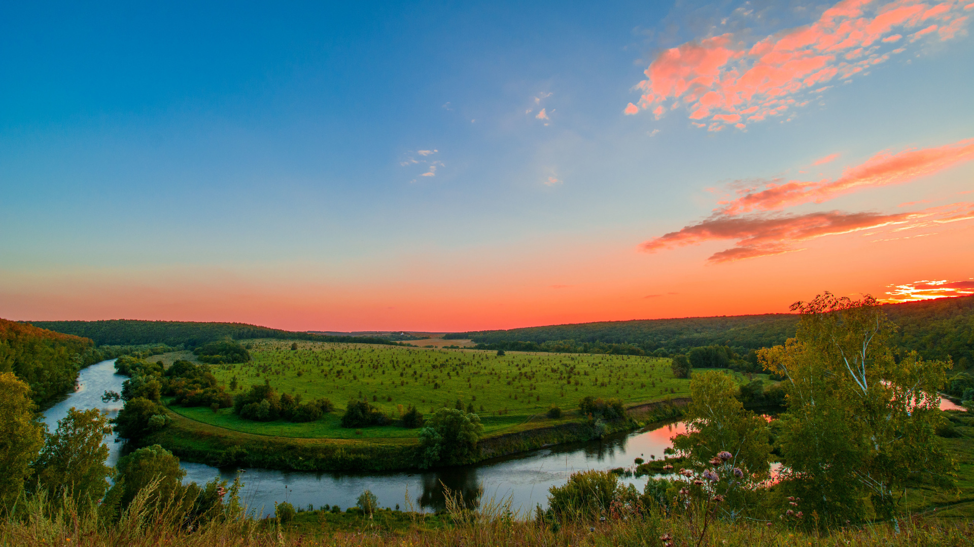 Green Trees Near River During Daytime. Wallpaper in 1920x1080 Resolution