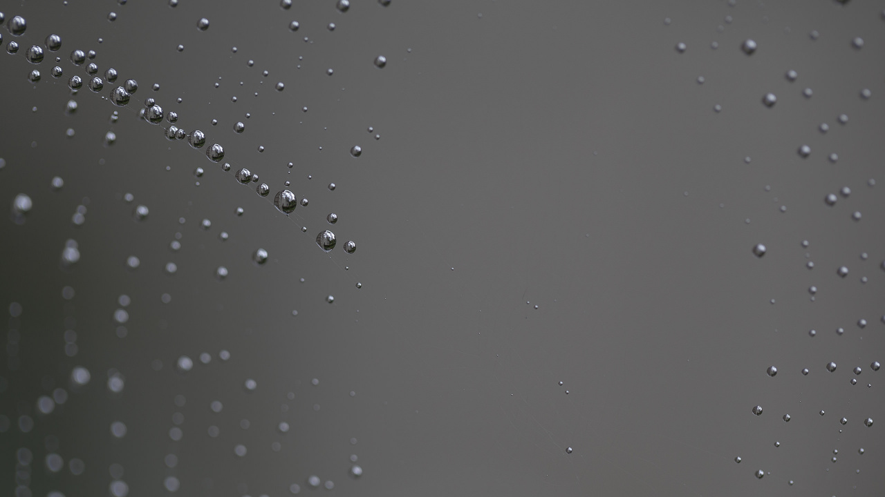 Water Droplets on Clear Glass. Wallpaper in 1280x720 Resolution