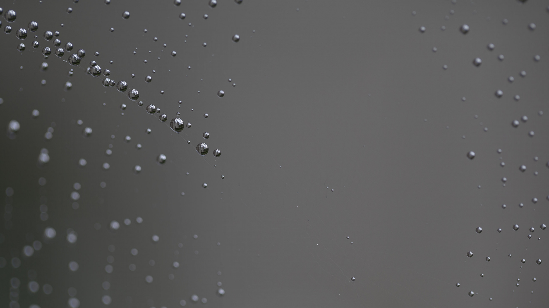 Water Droplets on Clear Glass. Wallpaper in 1920x1080 Resolution