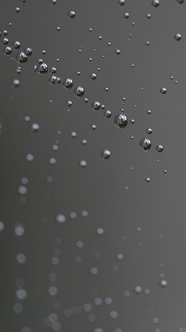 Wassertropfen Auf Klarglas. Wallpaper in 750x1334 Resolution