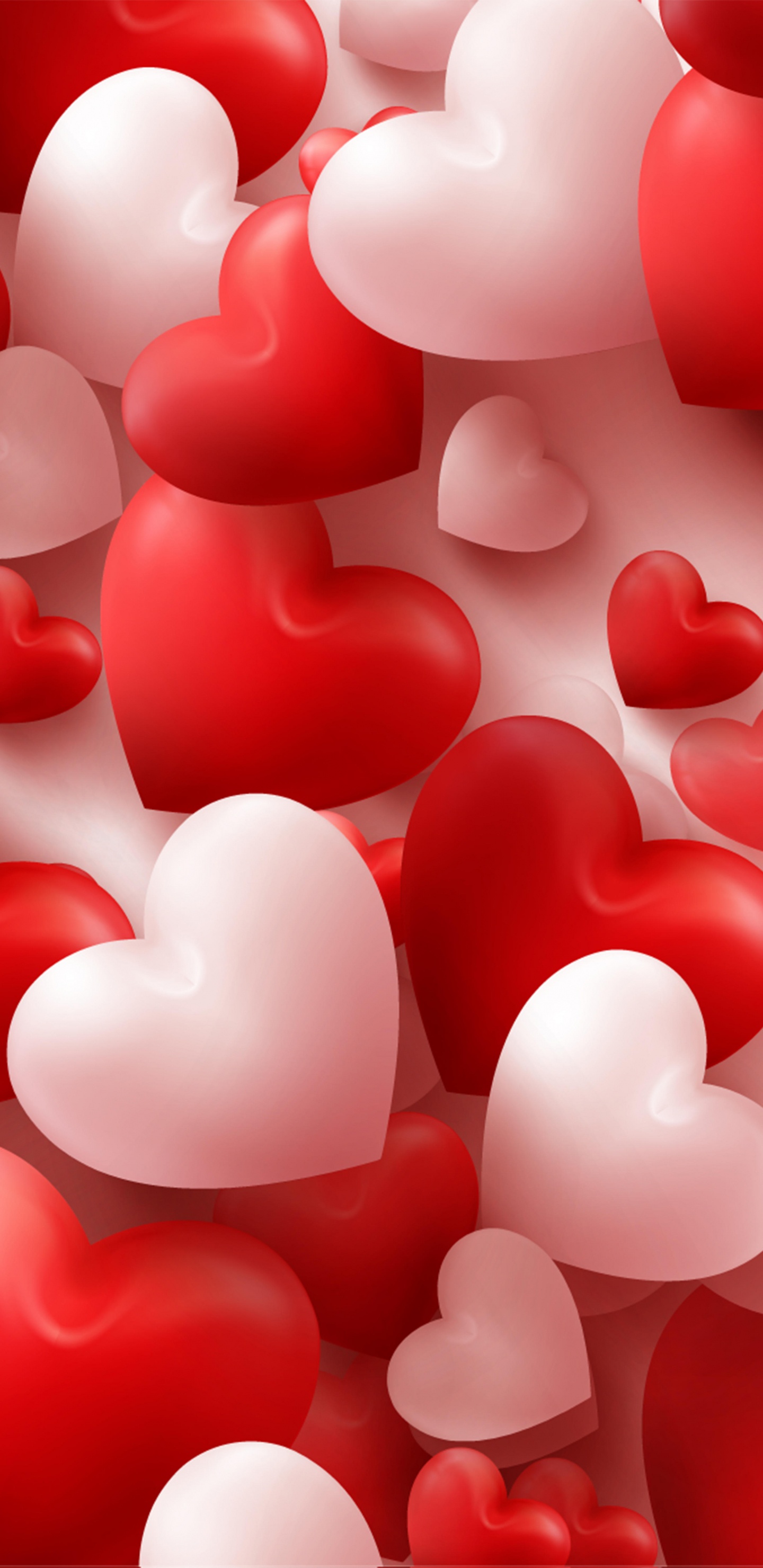 el Día de San Valentín, Coraz, Rojo, Amor, Rosa. Wallpaper in 1440x2960 Resolution