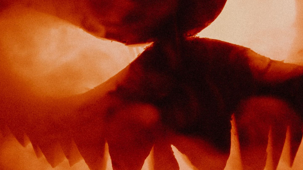 la Citrouille D'halloween, Jack o Lantern, Citrouille, Atmosphère, Pétale. Wallpaper in 1280x720 Resolution