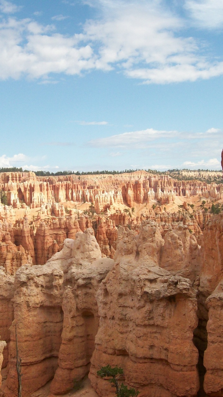 Brown Rock Formation Under Blue Sky During Daytime. Wallpaper in 720x1280 Resolution