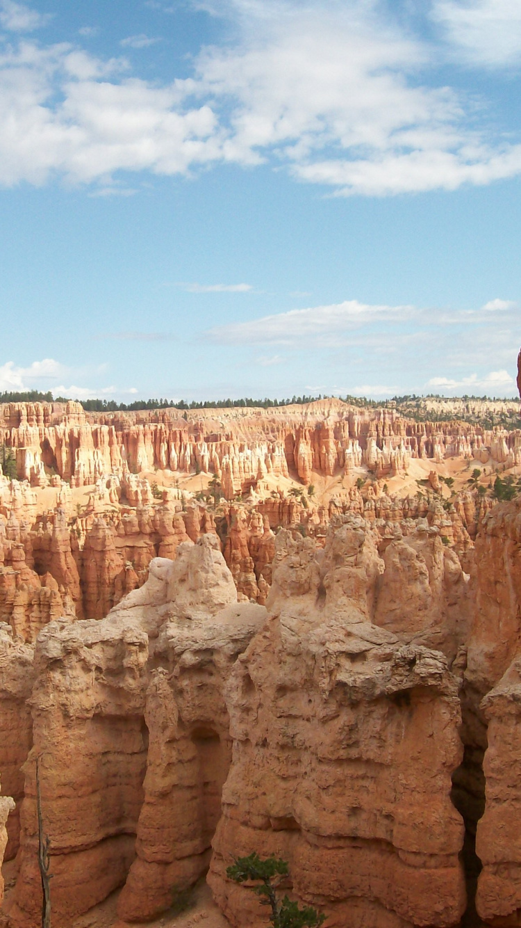 Brown Rock Formation Under Blue Sky During Daytime. Wallpaper in 750x1334 Resolution