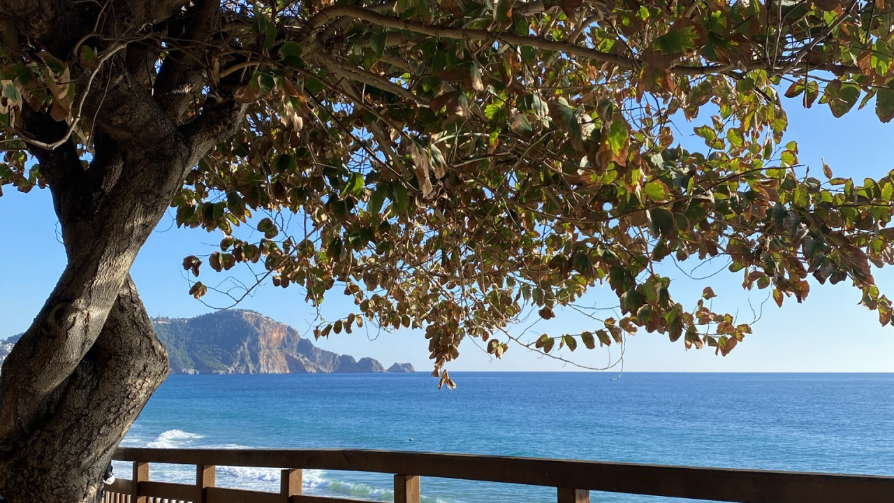 Eau, Feuille, Paysage Naturel, Azure, Clôture. Wallpaper in 1280x720 Resolution