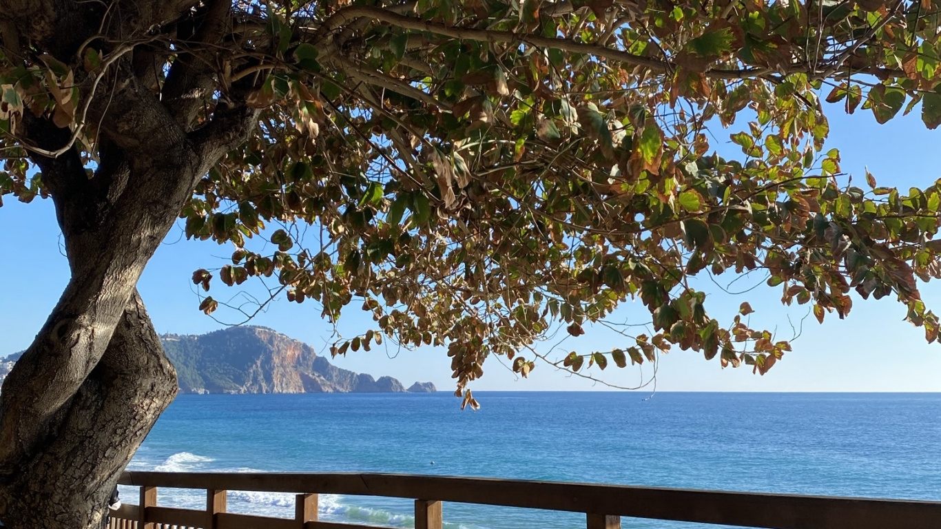 自然景观, Azure, 木, 栅栏, 阴凉处 壁纸 1366x768 允许