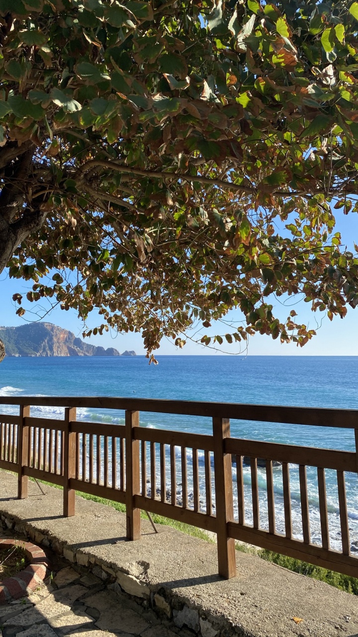 自然景观, Azure, 木, 栅栏, 阴凉处 壁纸 720x1280 允许