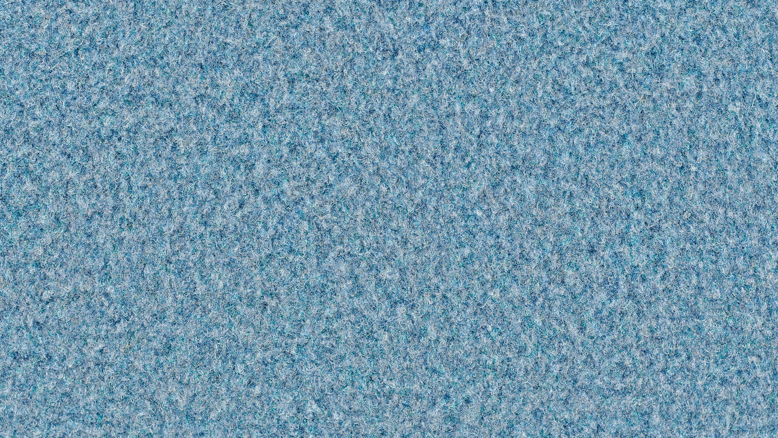 Blue and White Area Rug. Wallpaper in 2560x1440 Resolution