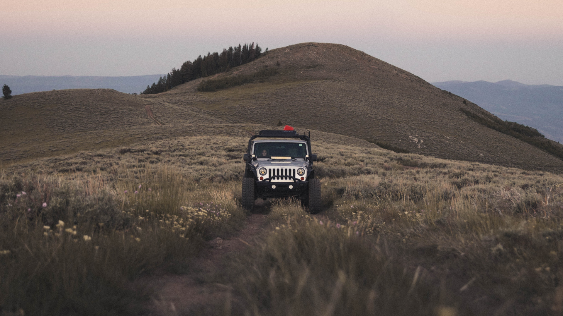 Black Suv on Green Grass Field During Daytime. Wallpaper in 1920x1080 Resolution