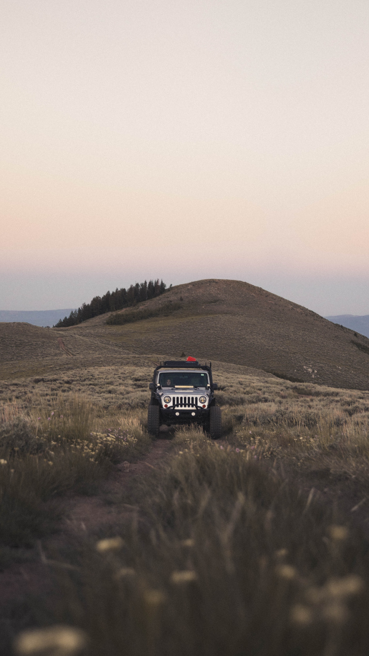 Black Suv on Green Grass Field During Daytime. Wallpaper in 750x1334 Resolution