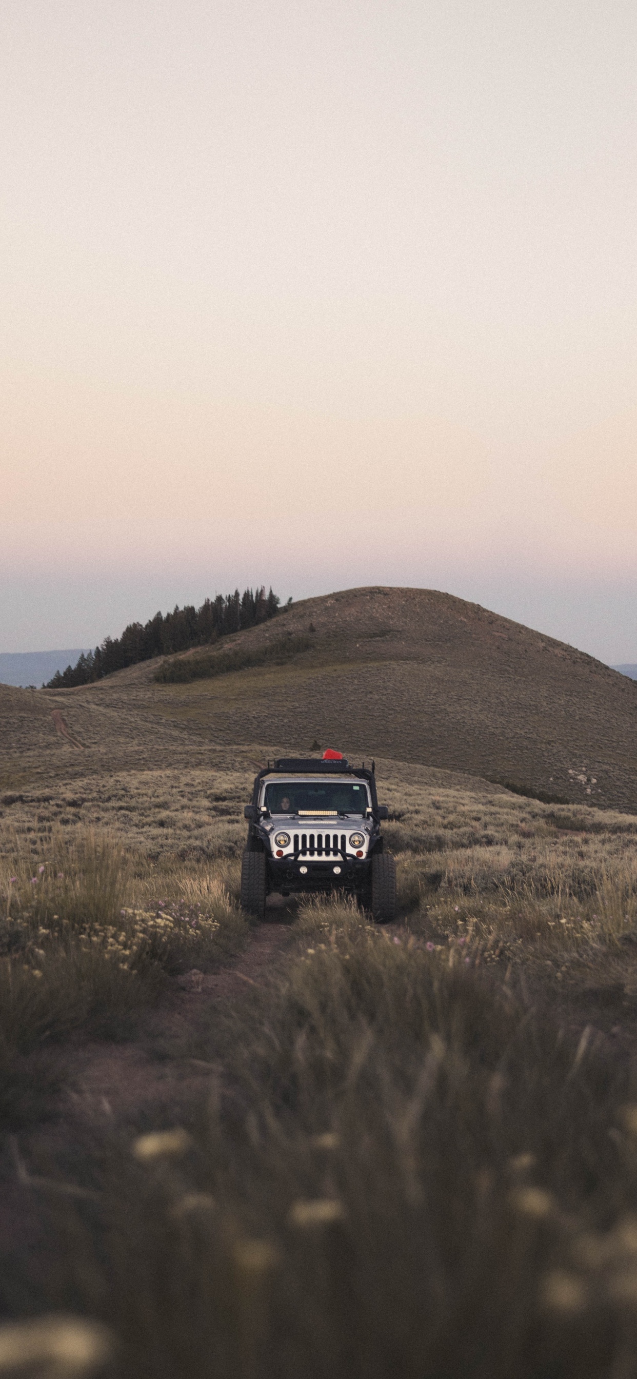 Suv Noir Sur Terrain D'herbe Verte Pendant la Journée. Wallpaper in 1242x2688 Resolution