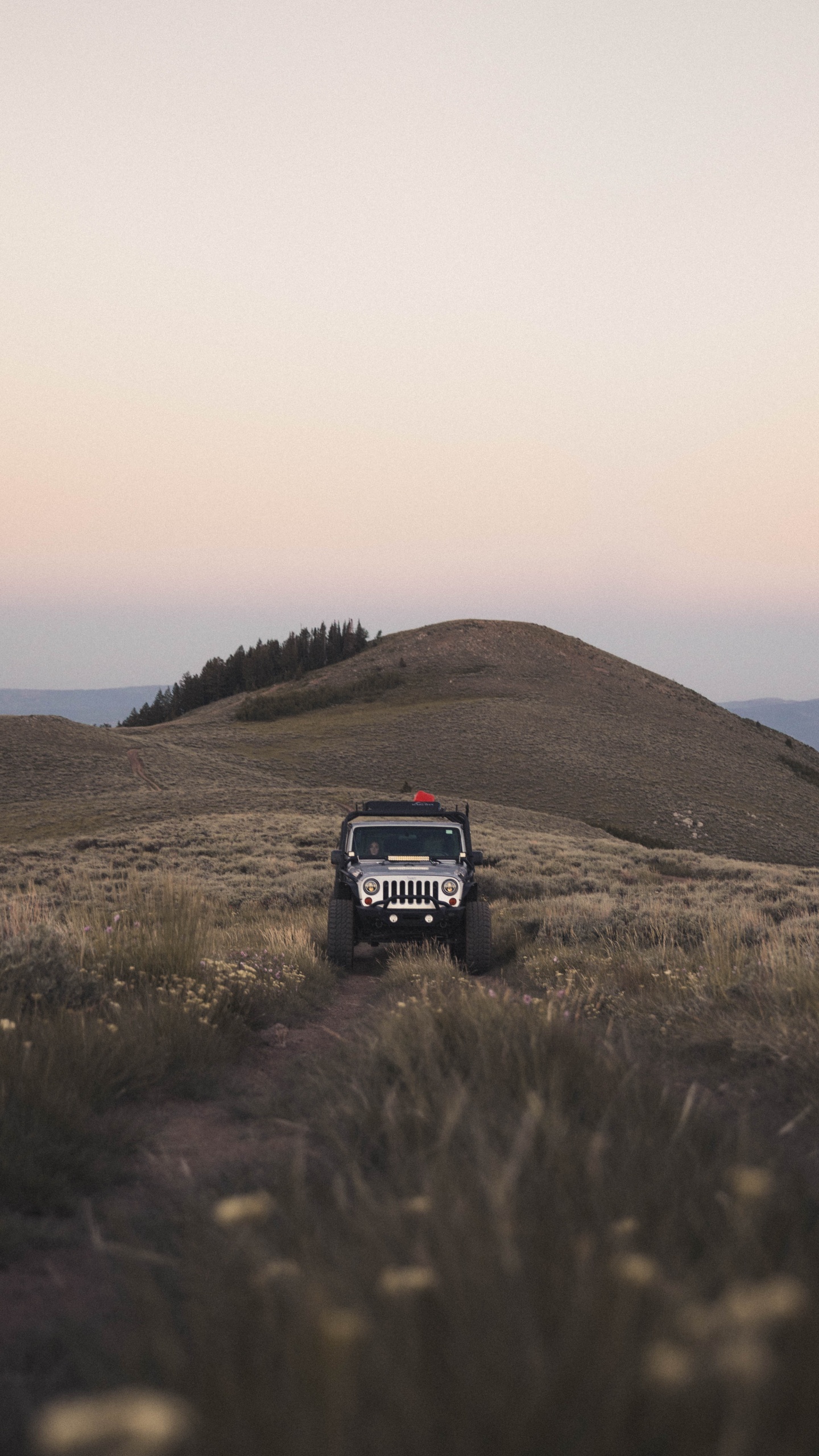 Suv Noir Sur Terrain D'herbe Verte Pendant la Journée. Wallpaper in 1440x2560 Resolution