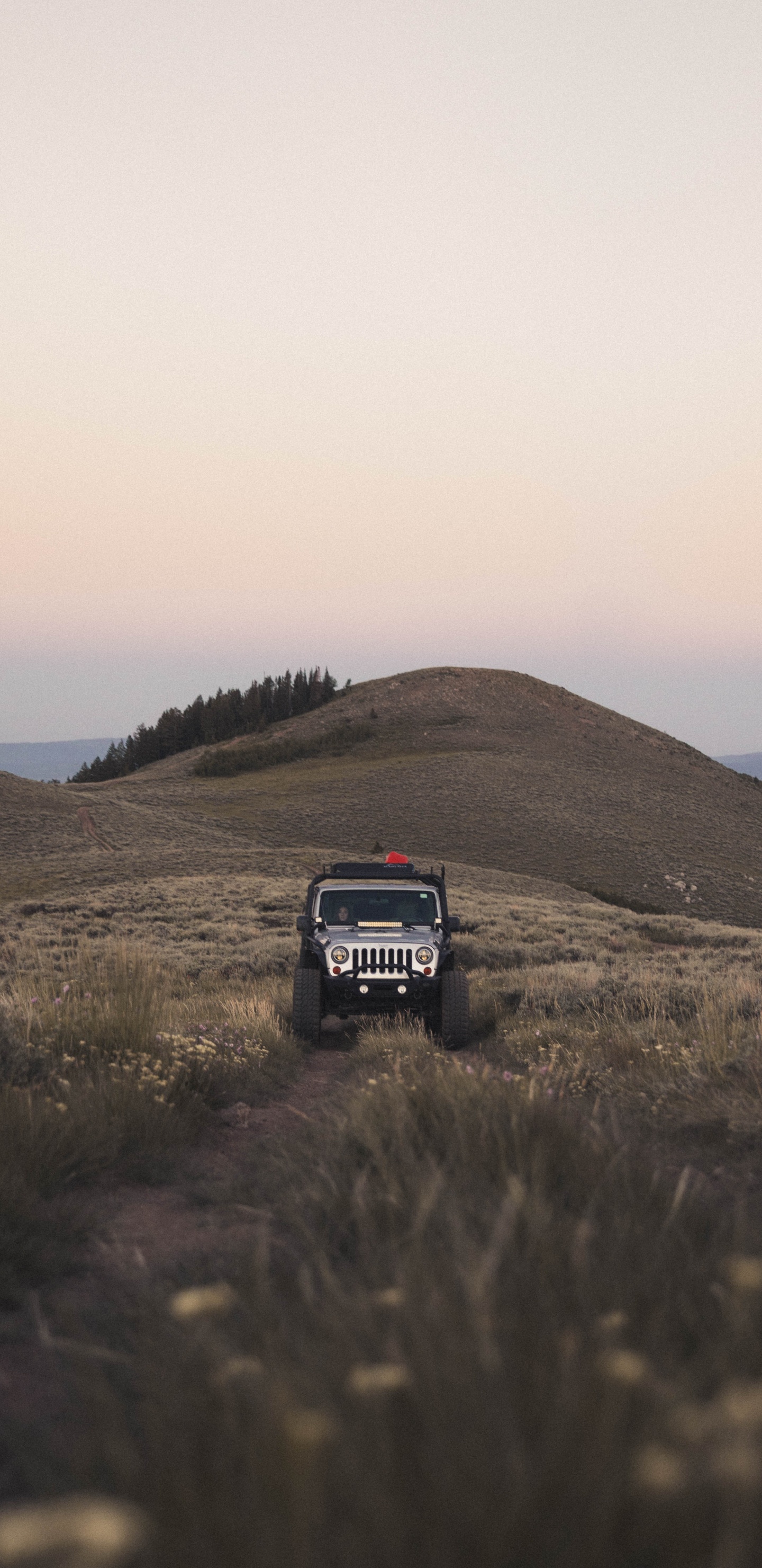 Suv Noir Sur Terrain D'herbe Verte Pendant la Journée. Wallpaper in 1440x2960 Resolution