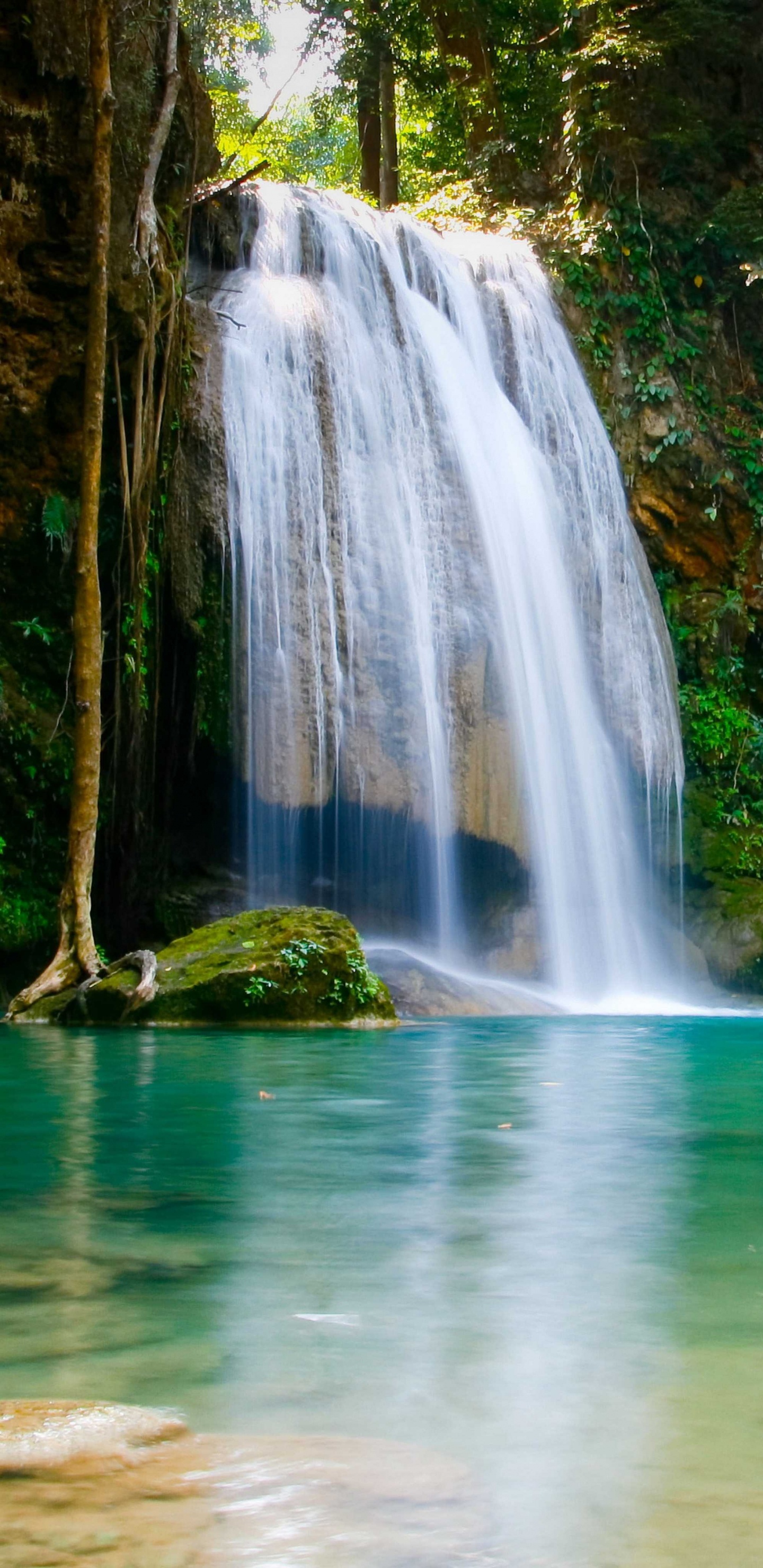 Wasserfall, Gewässer, Wasserressourcen, Naturlandschaft, Natur. Wallpaper in 1440x2960 Resolution