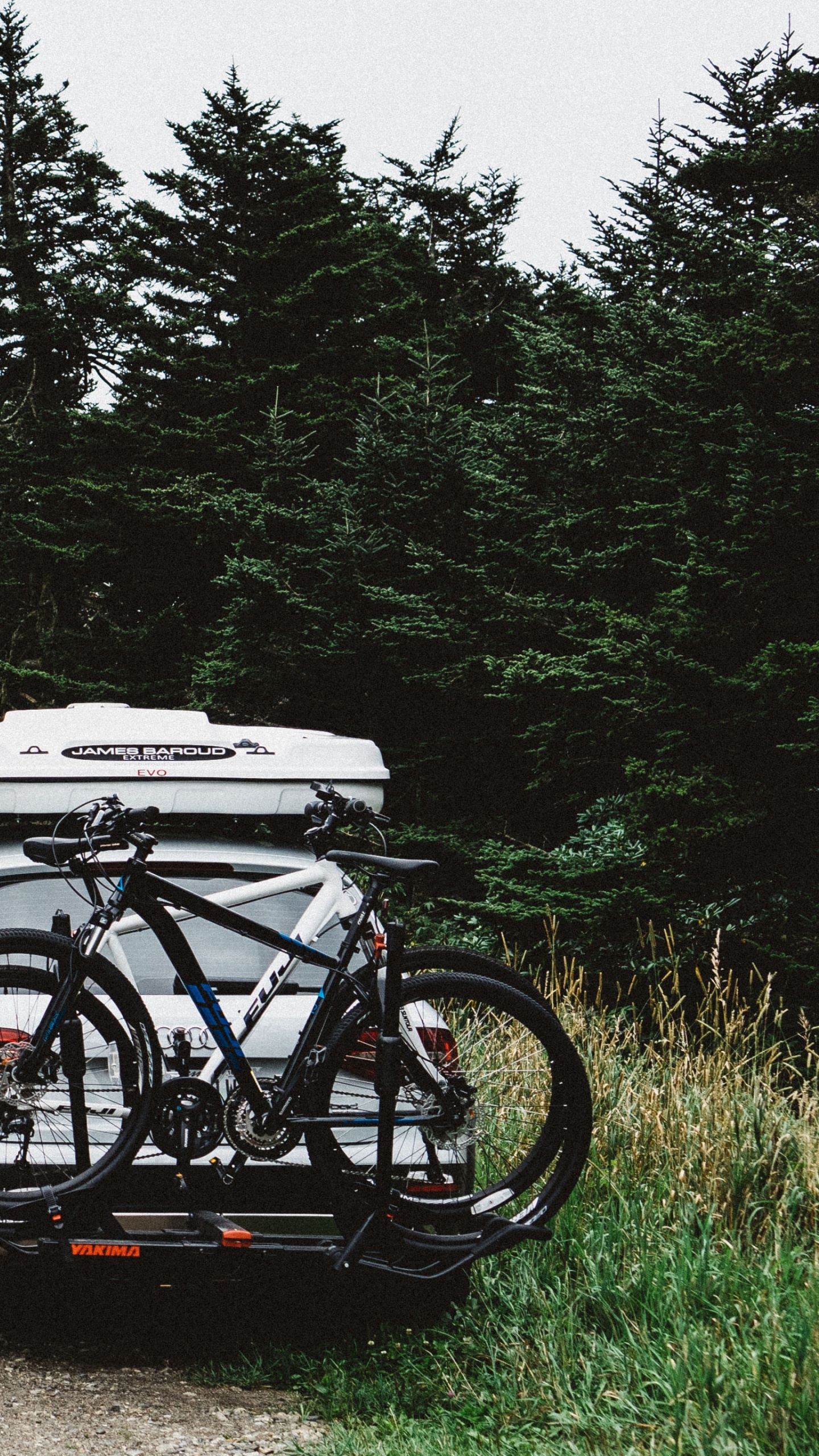 Schwarz-Weiß-Auto Auf Feldweg in Der Nähe Von Grünen Bäumen Tagsüber During. Wallpaper in 1440x2560 Resolution