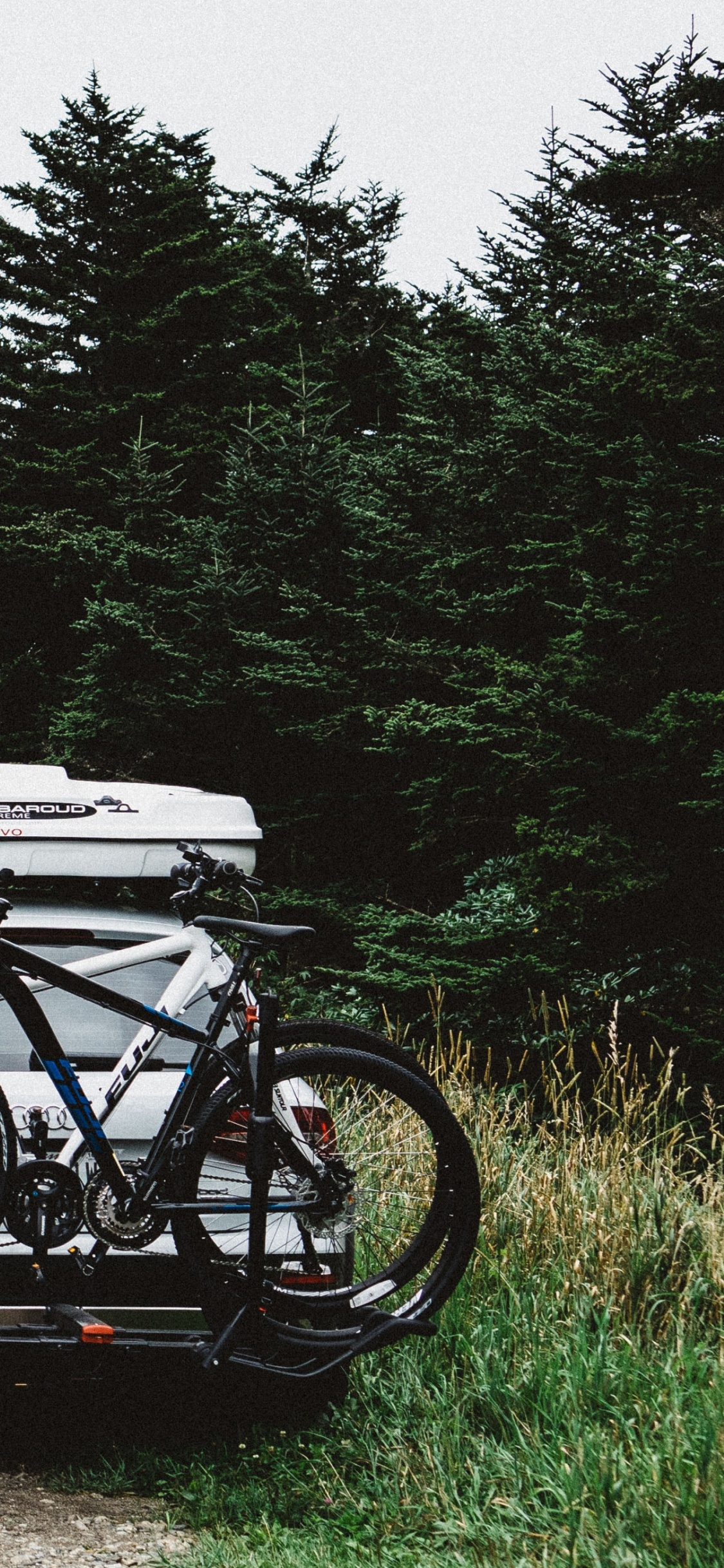 Coche Blanco y Negro en Camino de Tierra Cerca de Árboles Verdes Durante el Día. Wallpaper in 1125x2436 Resolution