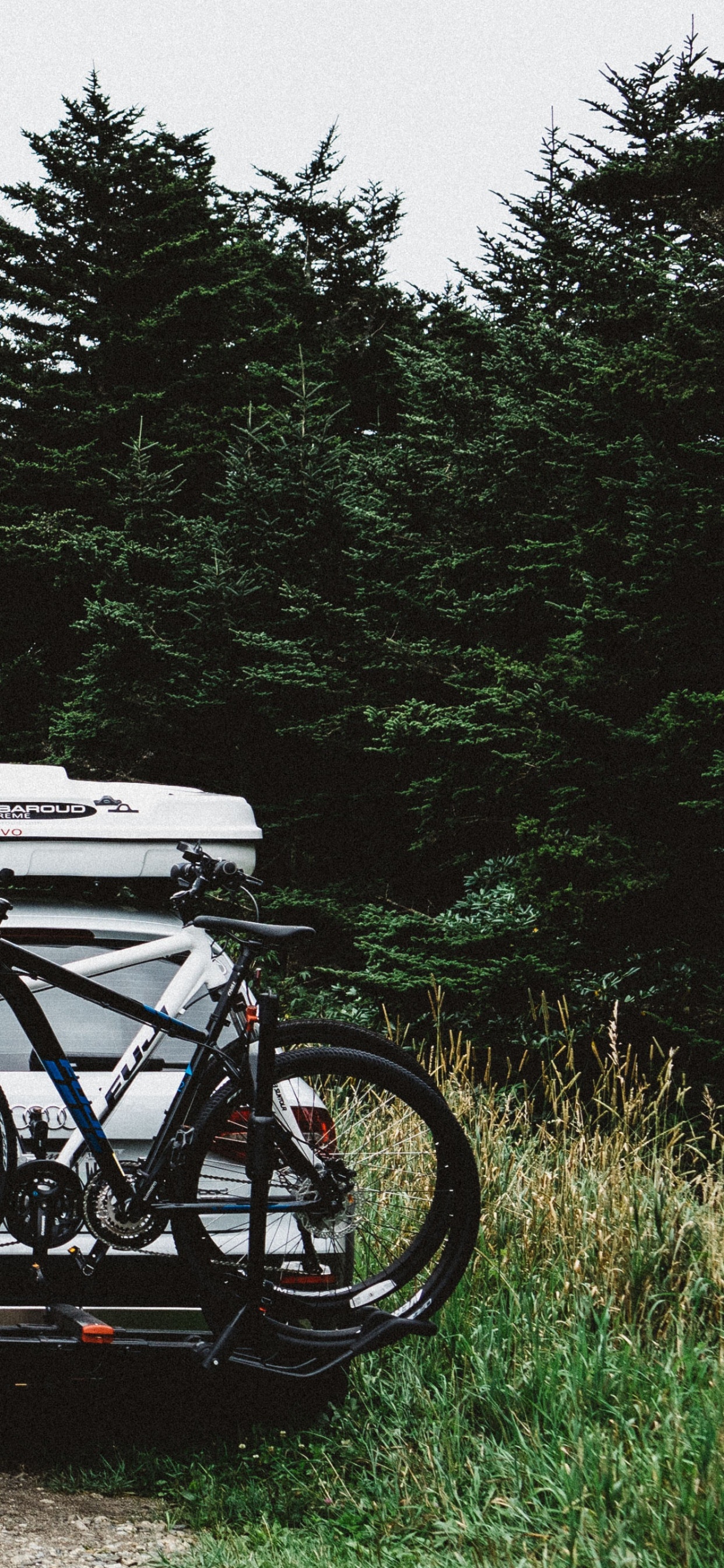 Coche Blanco y Negro en Camino de Tierra Cerca de Árboles Verdes Durante el Día. Wallpaper in 1242x2688 Resolution
