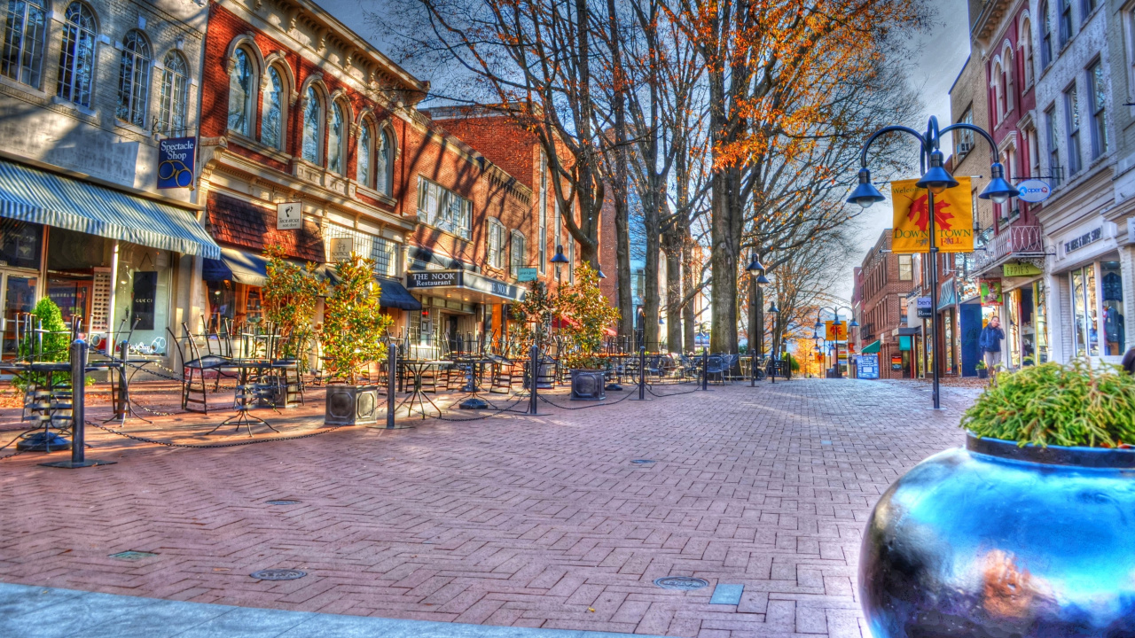 Brown Bare Trees on Sidewalk During Daytime. Wallpaper in 1280x720 Resolution