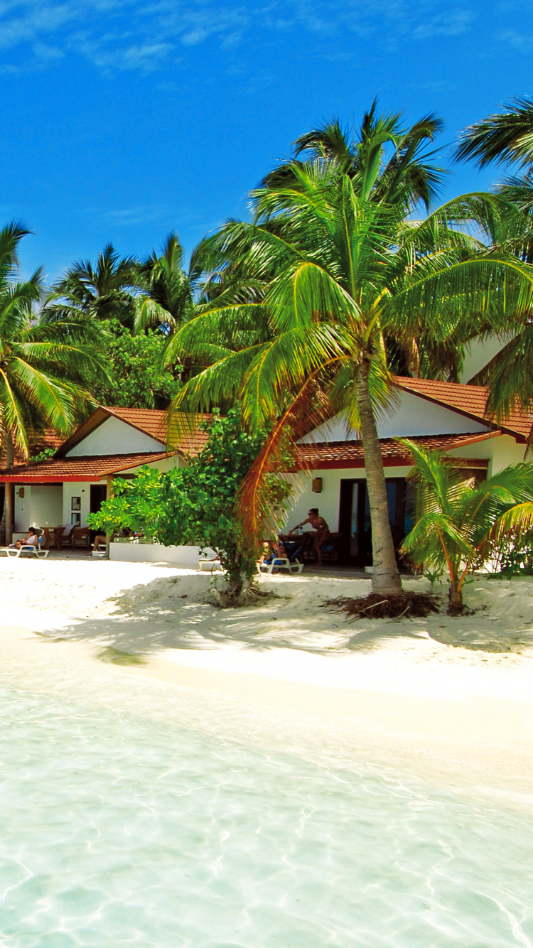 Brown Wooden Beach Lounge Chairs on White Sand Beach During Daytime. Wallpaper in 750x1334 Resolution