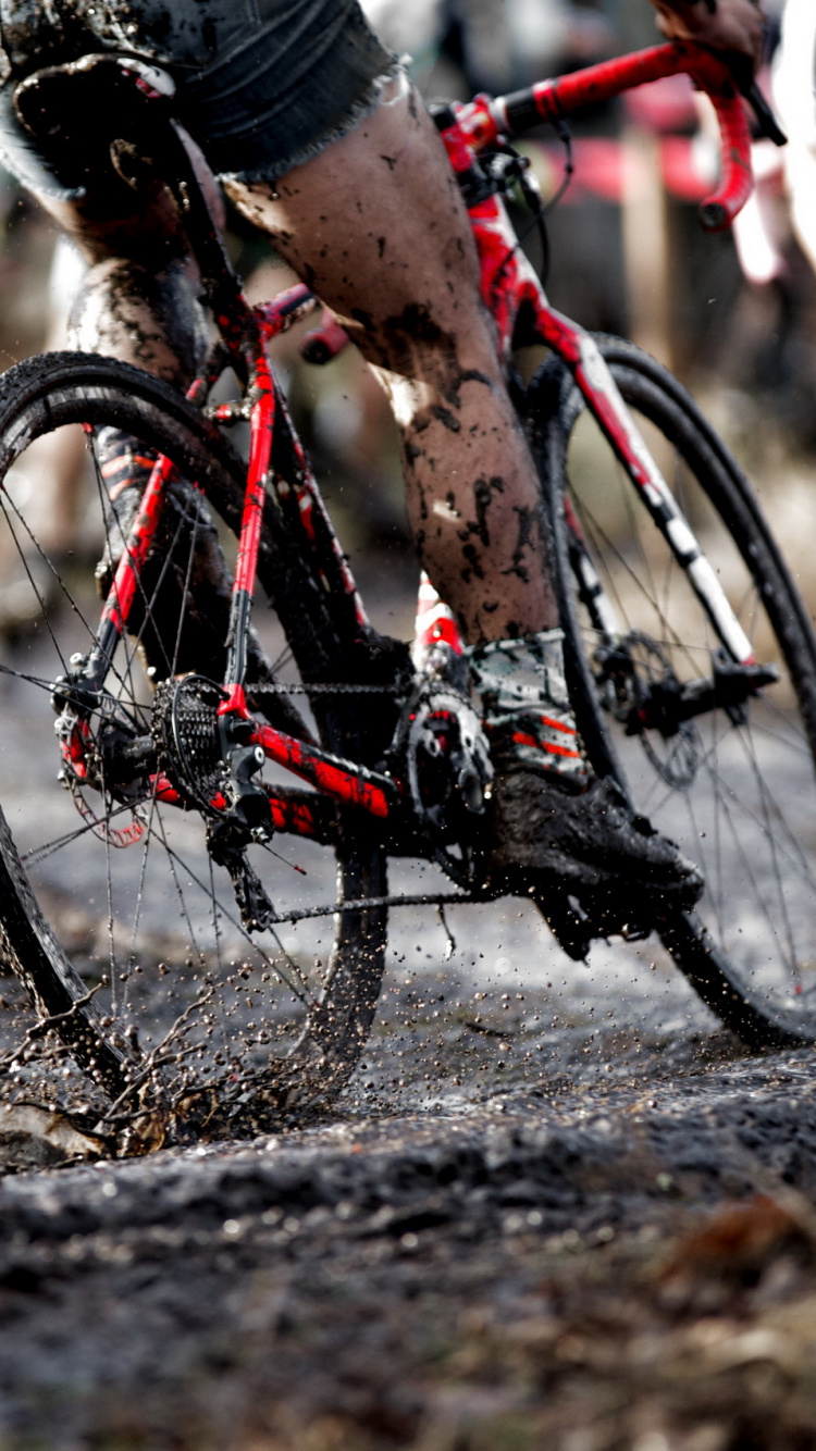 Leute, Die Tagsüber Mit Dem Fahrrad Fahren. Wallpaper in 750x1334 Resolution