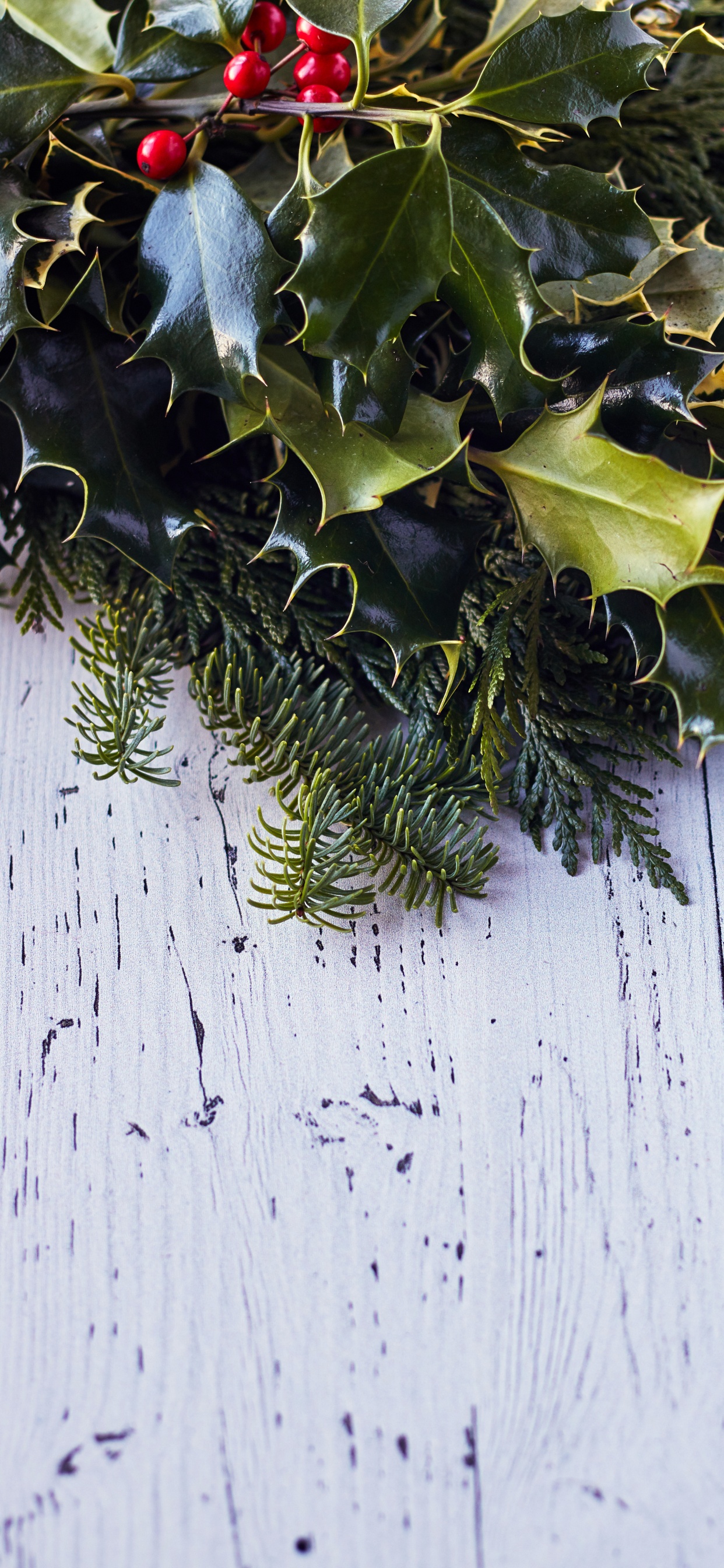 Green Leaves on White Wooden Surface. Wallpaper in 1242x2688 Resolution