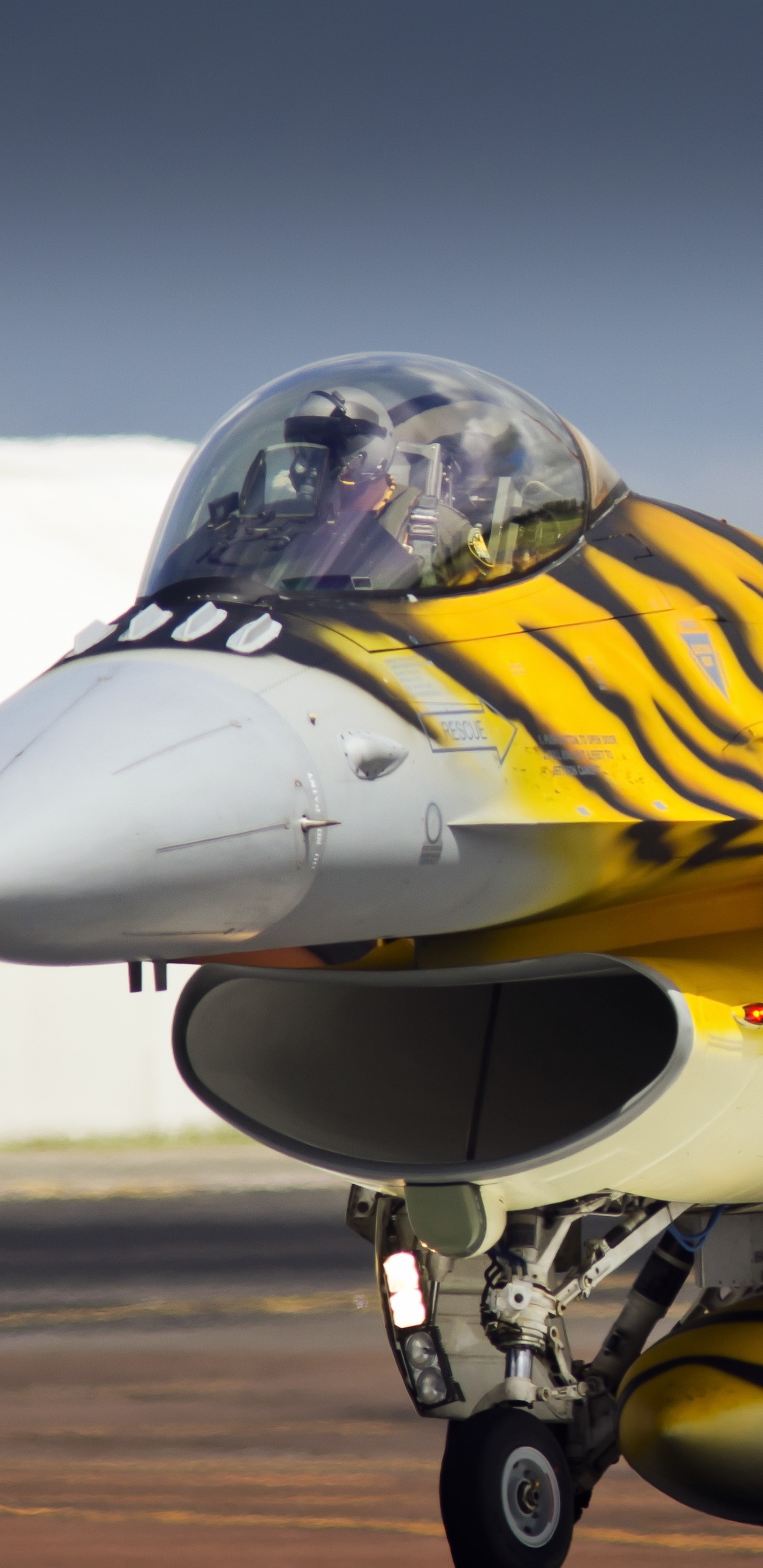 Gelb-schwarzer Kampfjet. Wallpaper in 1440x2960 Resolution