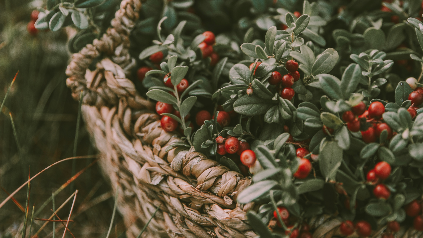 Red and Green Round Fruits in Brown Woven Basket. Wallpaper in 1366x768 Resolution