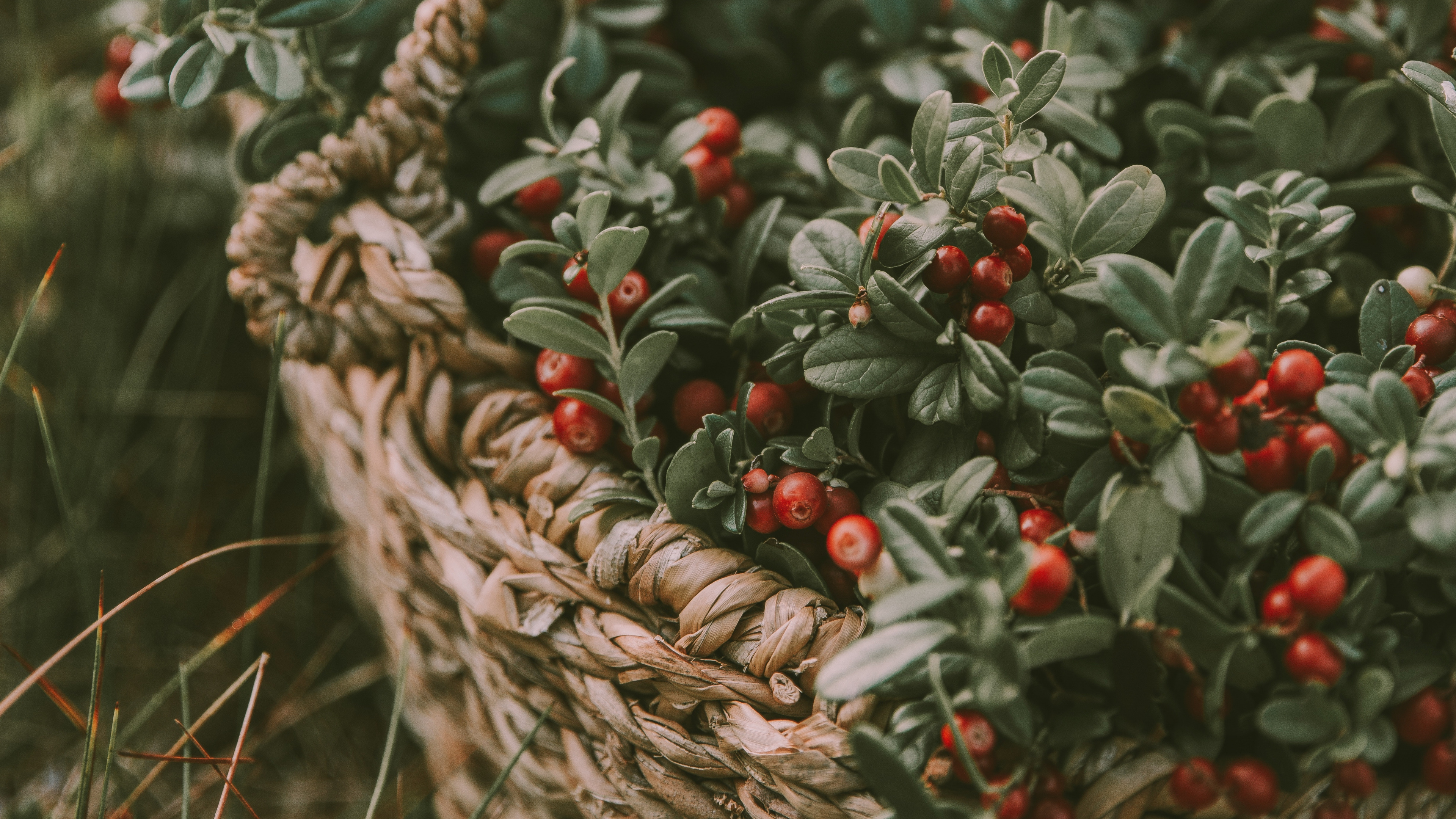 Red and Green Round Fruits in Brown Woven Basket. Wallpaper in 3840x2160 Resolution
