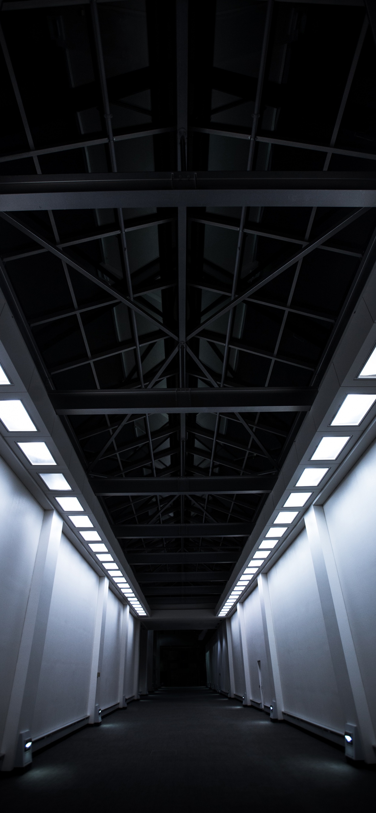 Techo Blanco y Negro Con Luz. Wallpaper in 1242x2688 Resolution